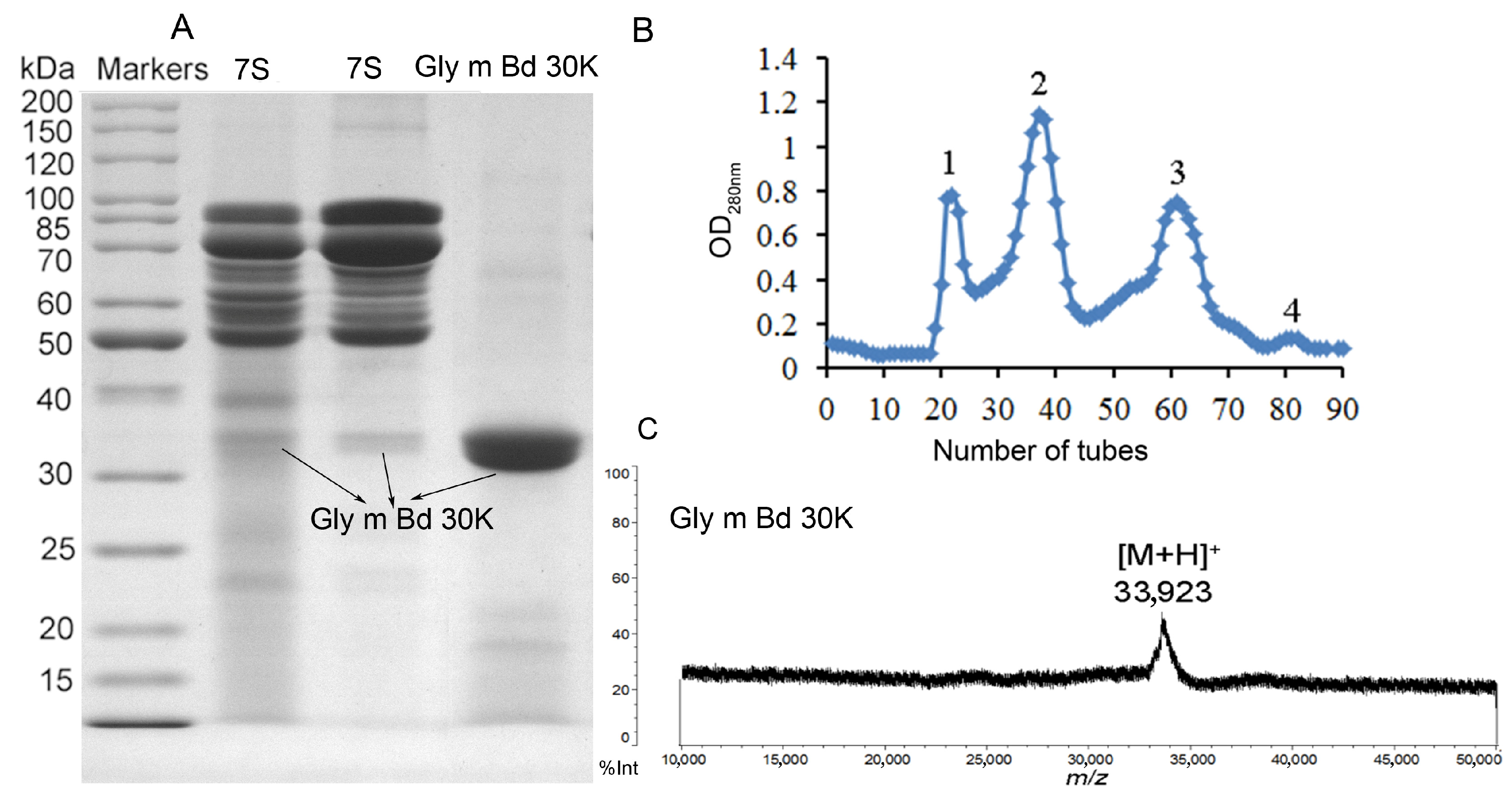 Molecules 30 03571 g001