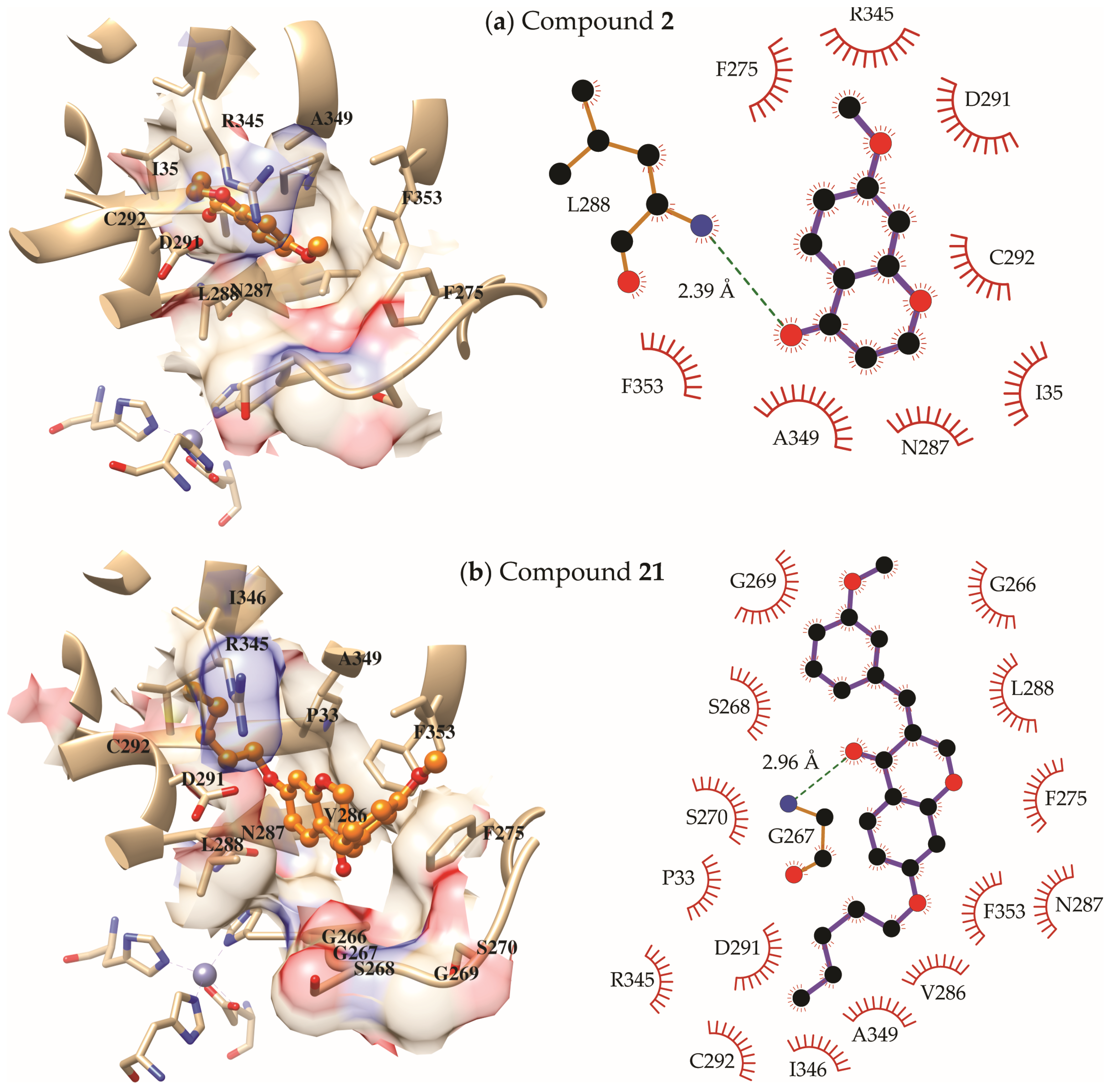 Molecules 30 03575 g004 Molecules 30 03575 g004