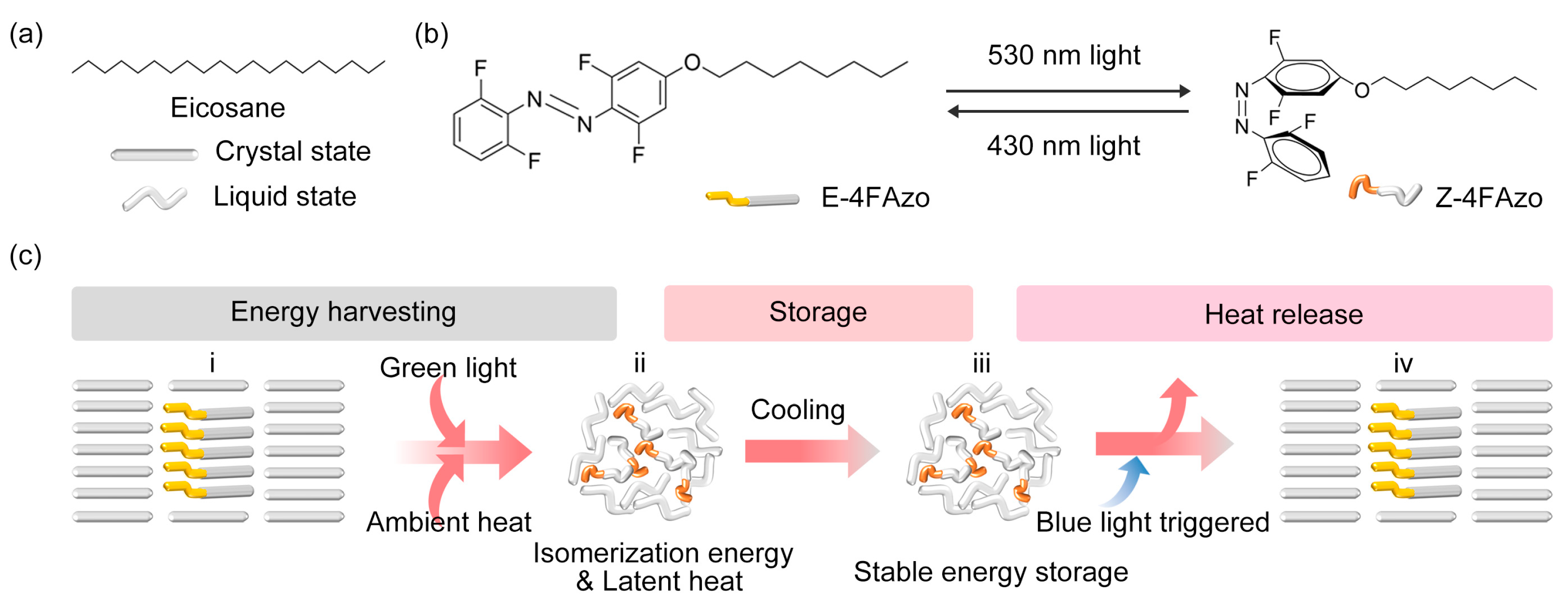 Molecules 30 03576 g001