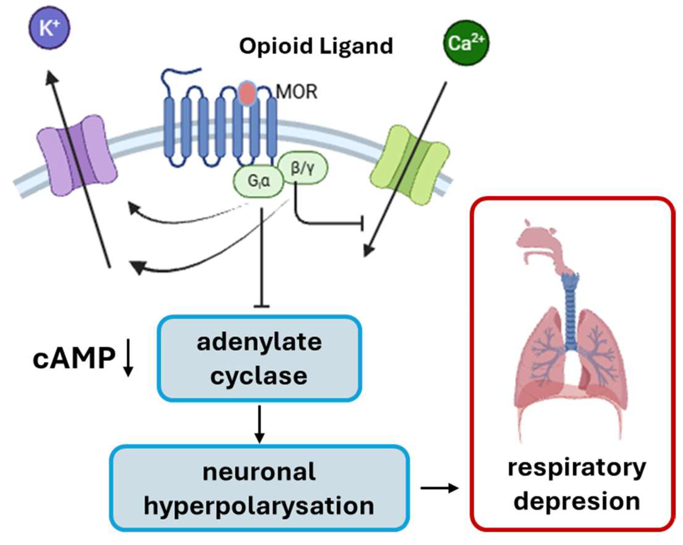 Molecules 30 03577 g001