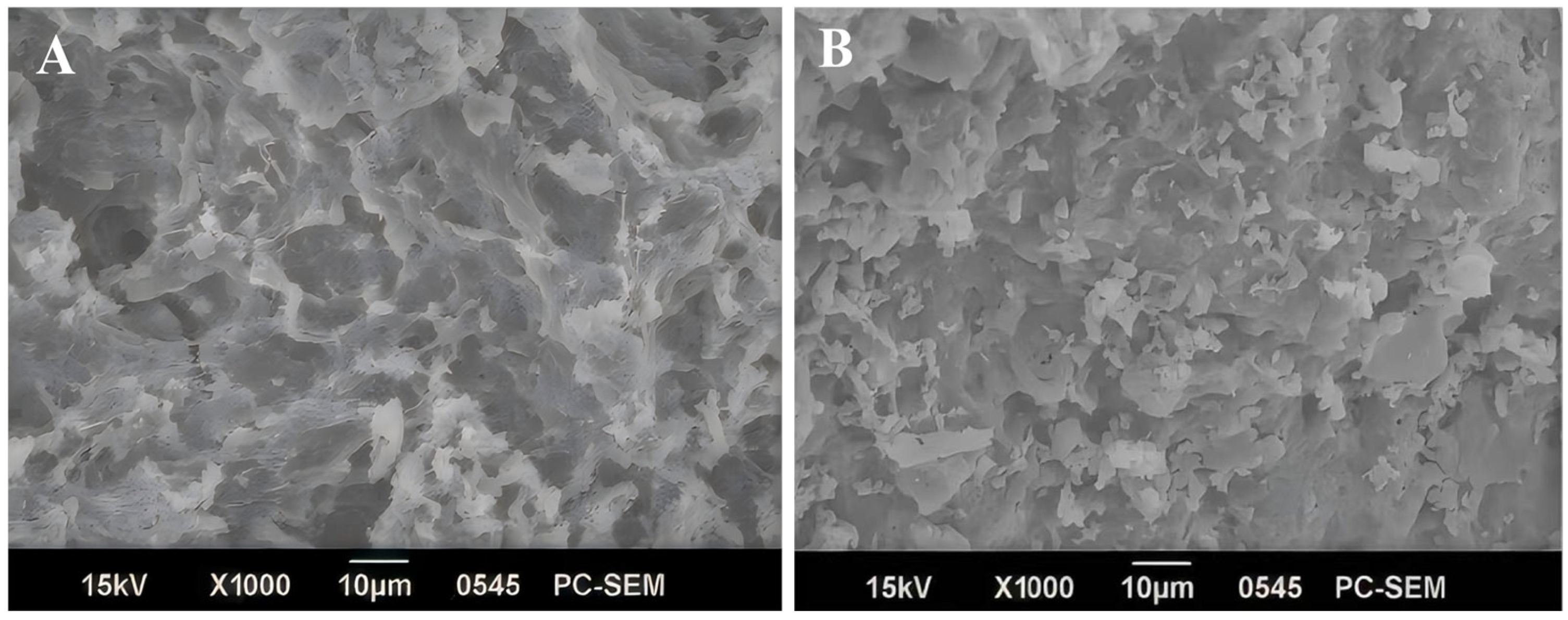 Molecules 30 03580 g007