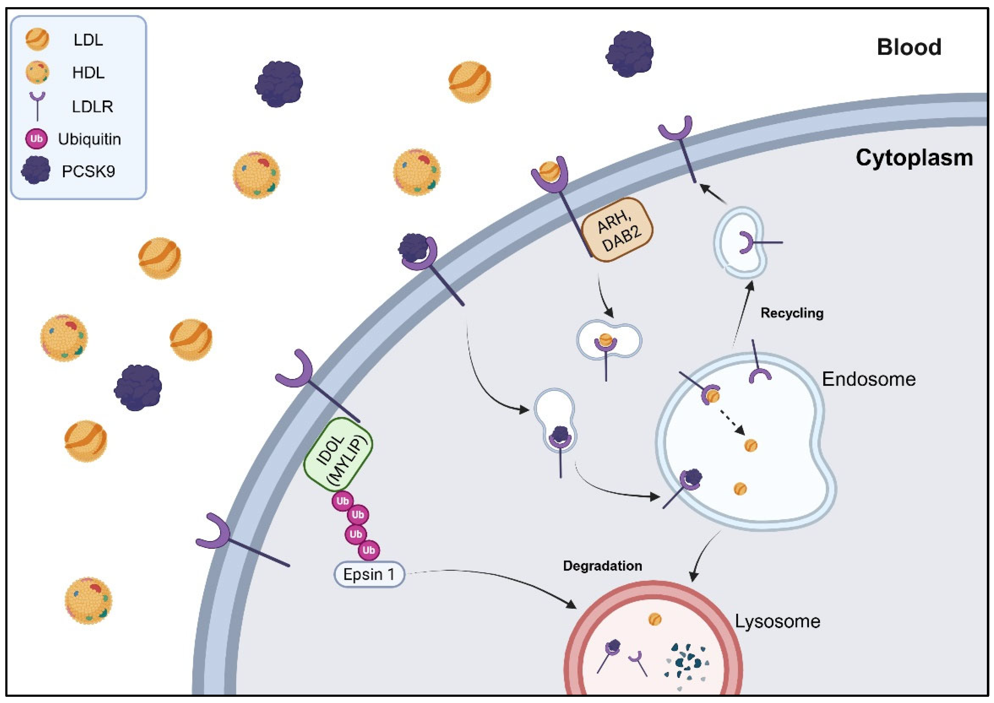 Molecules 30 03582 g001 Molecules 30 03582 g001