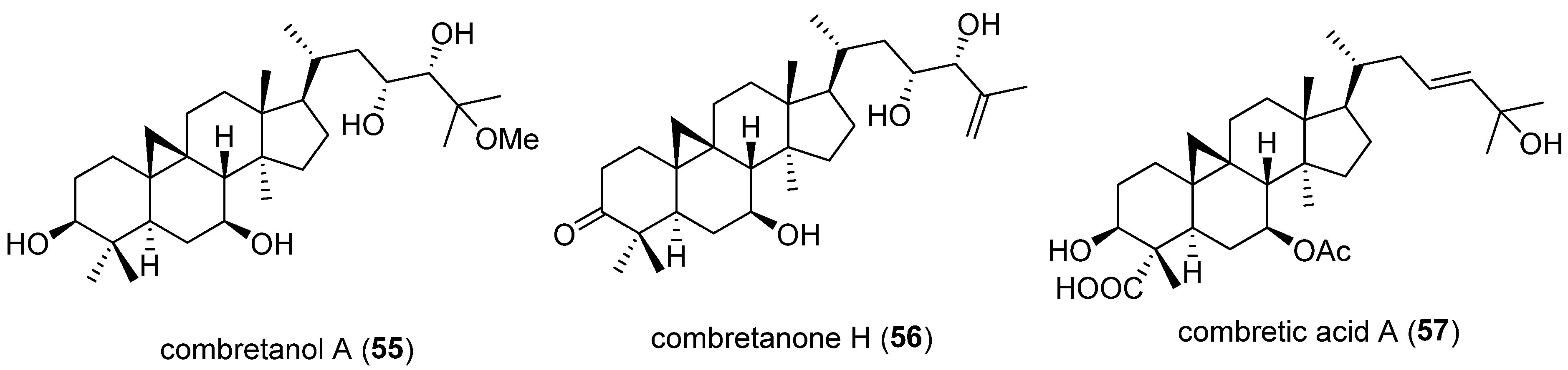 Molecules 30 03582 g006 Molecules 30 03582 g006