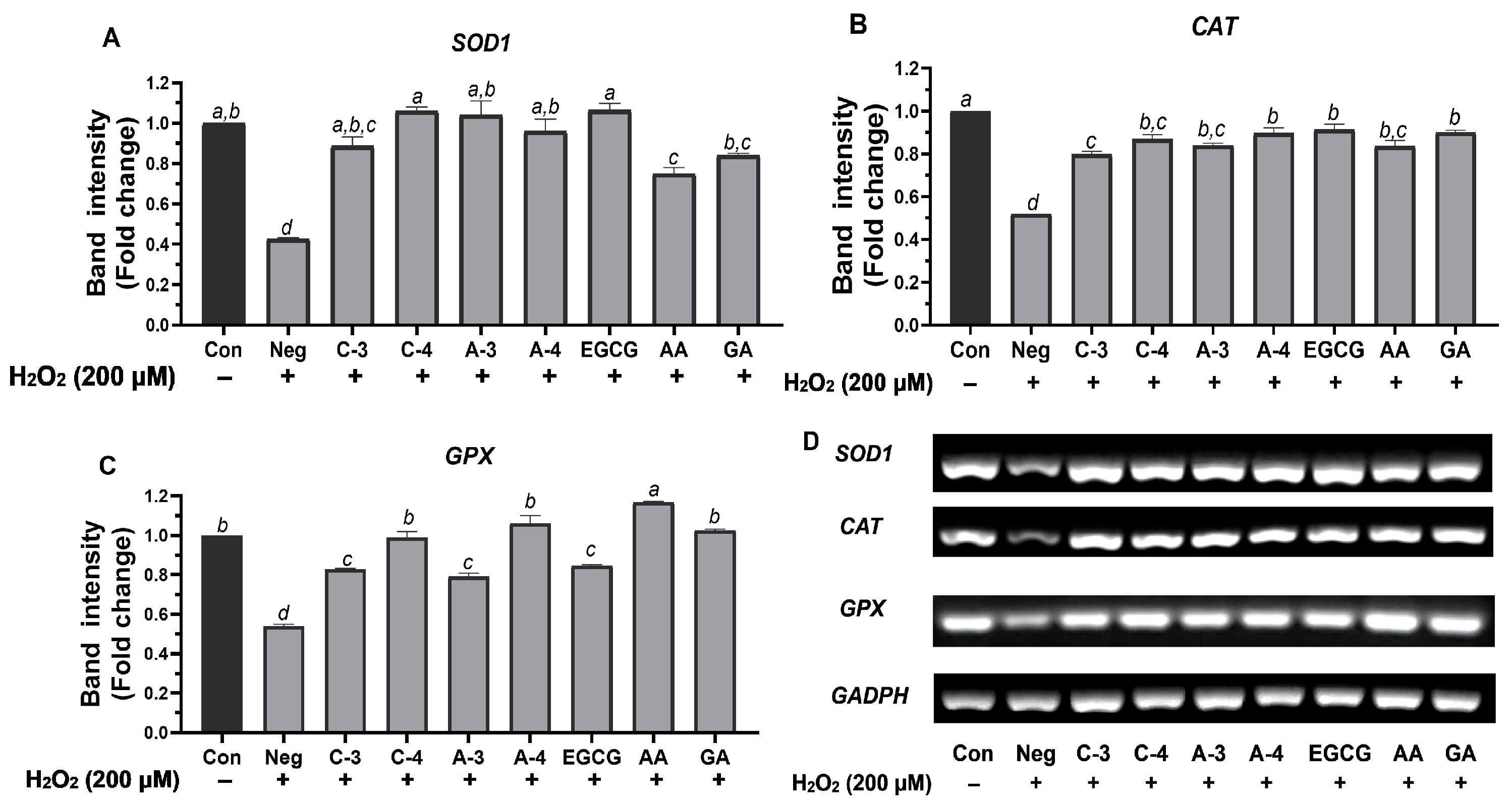 Molecules 30 03589 g003 Molecules 30 03589 g003