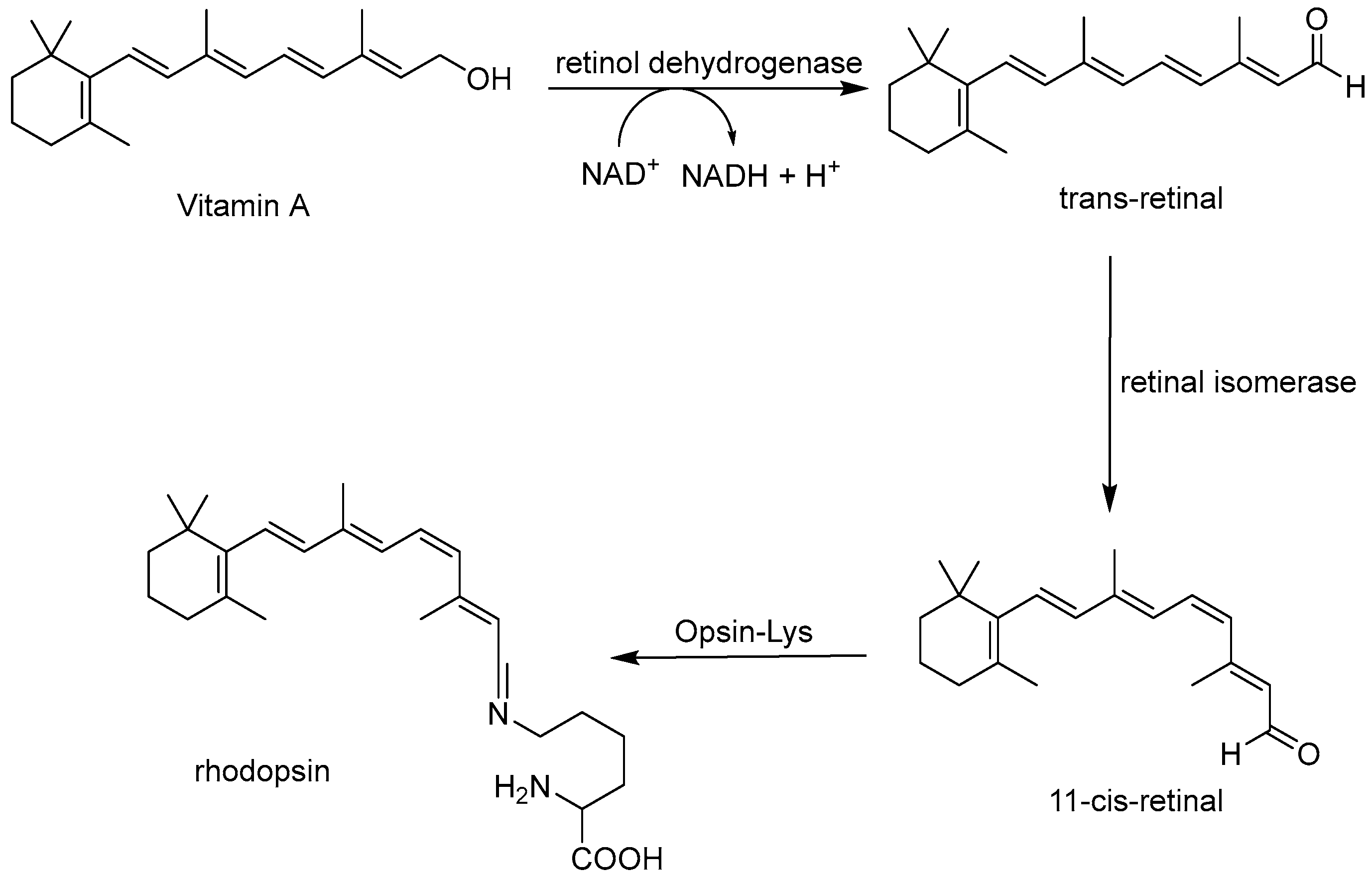 Molecules 30 03592 g005