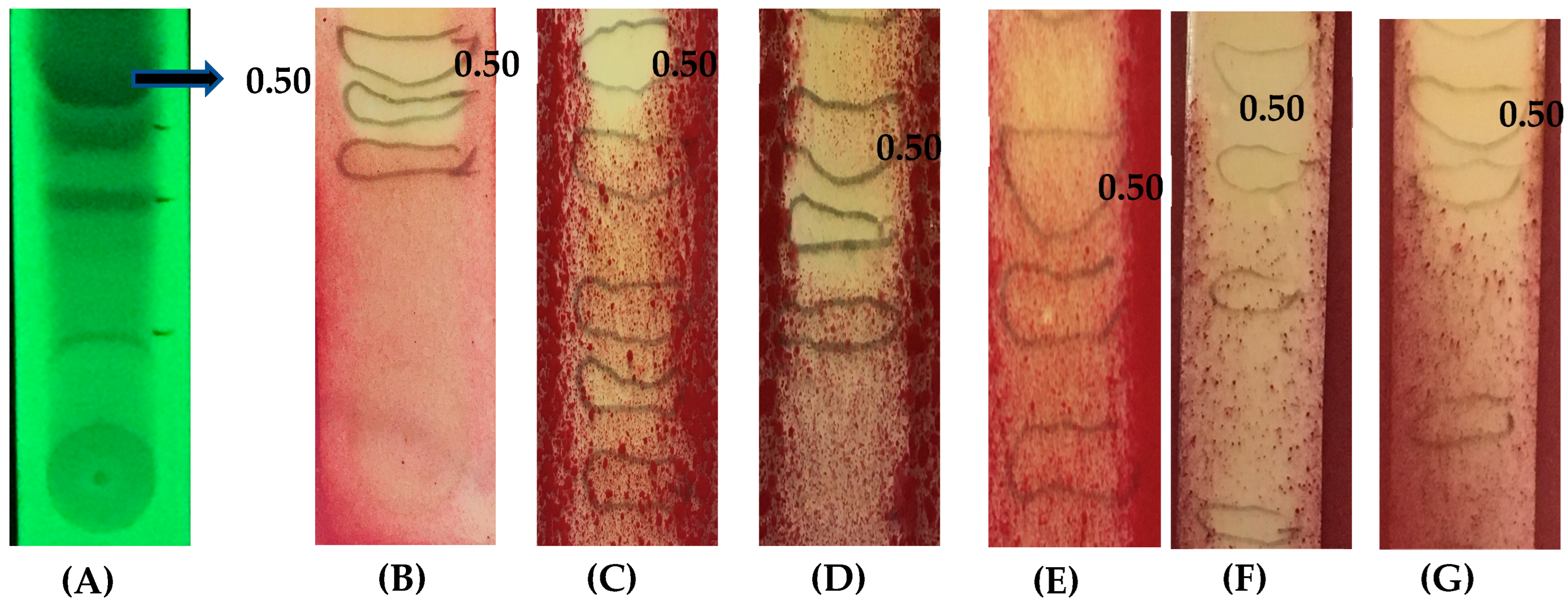 Molecules 30 03595 g001