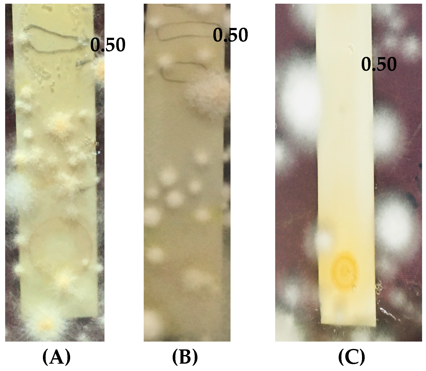 Molecules 30 03595 g002