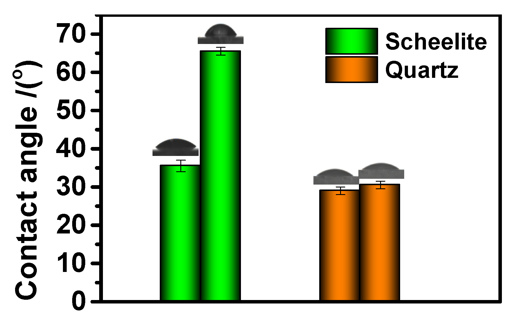Molecules 30 03607 g004 Molecules 30 03607 g004