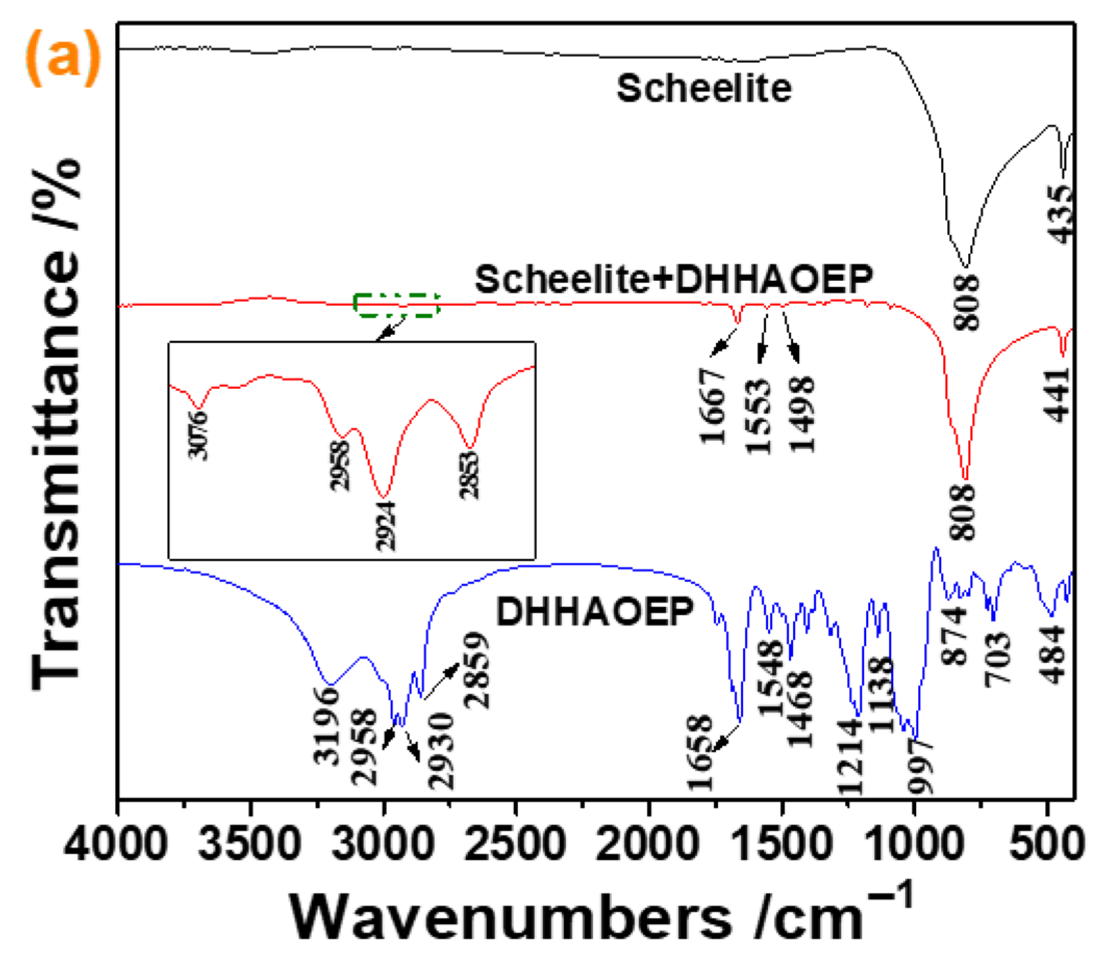 Molecules 30 03607 g005a Molecules 30 03607 g005a