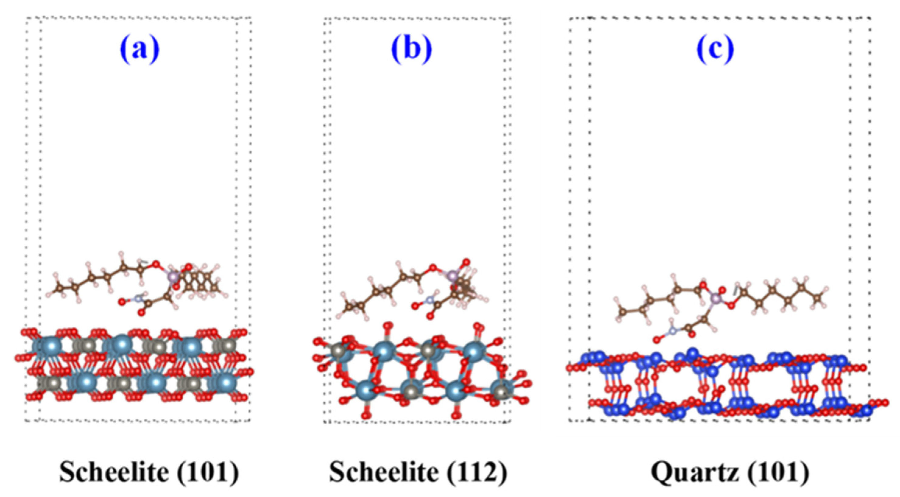 Molecules 30 03607 g007 Molecules 30 03607 g007