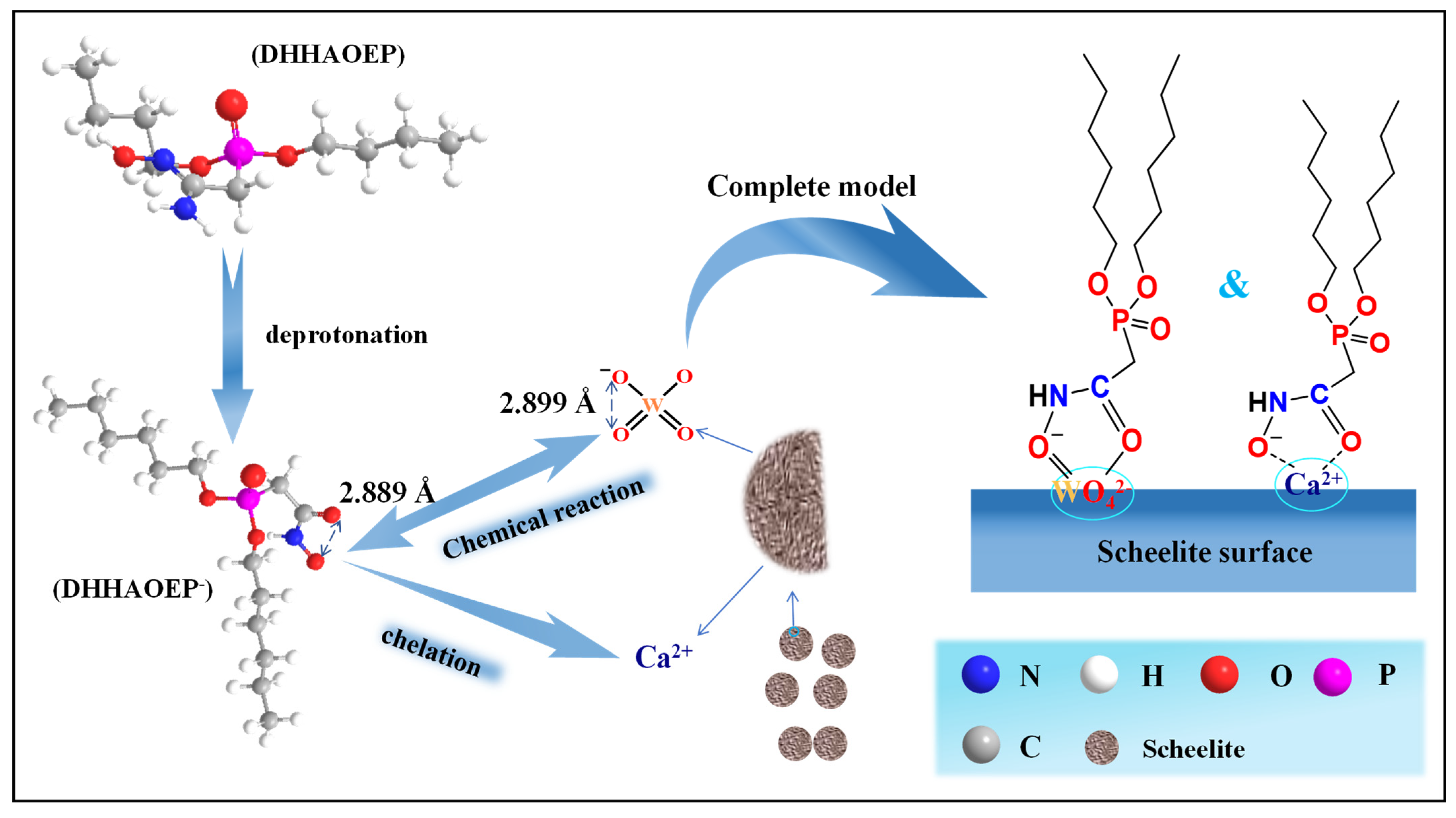 Molecules 30 03607 g008 Molecules 30 03607 g008