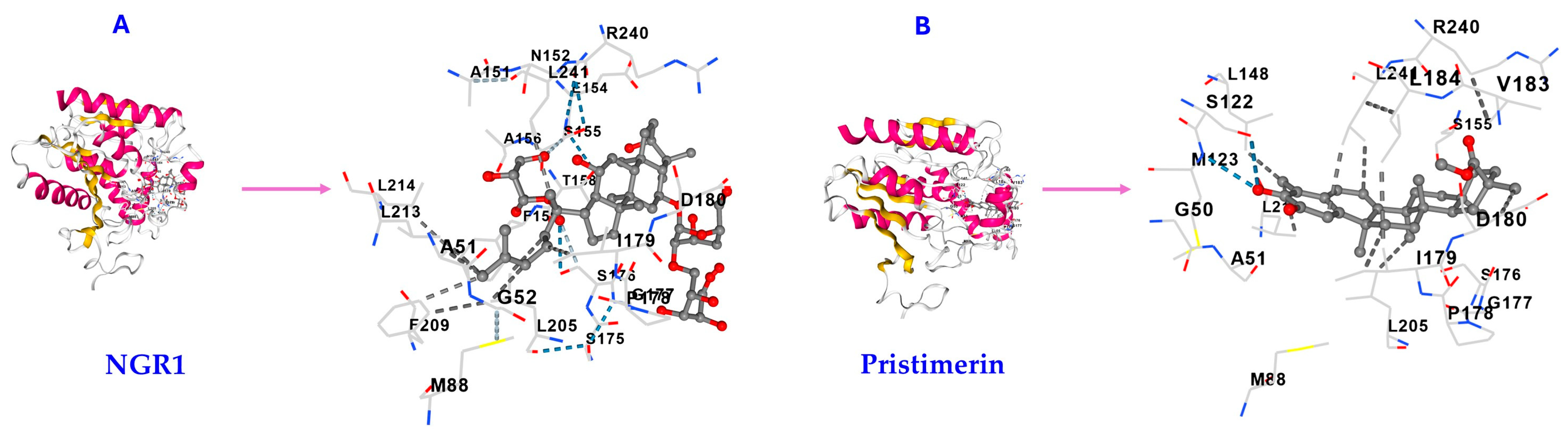 Molecules 30 03613 g004