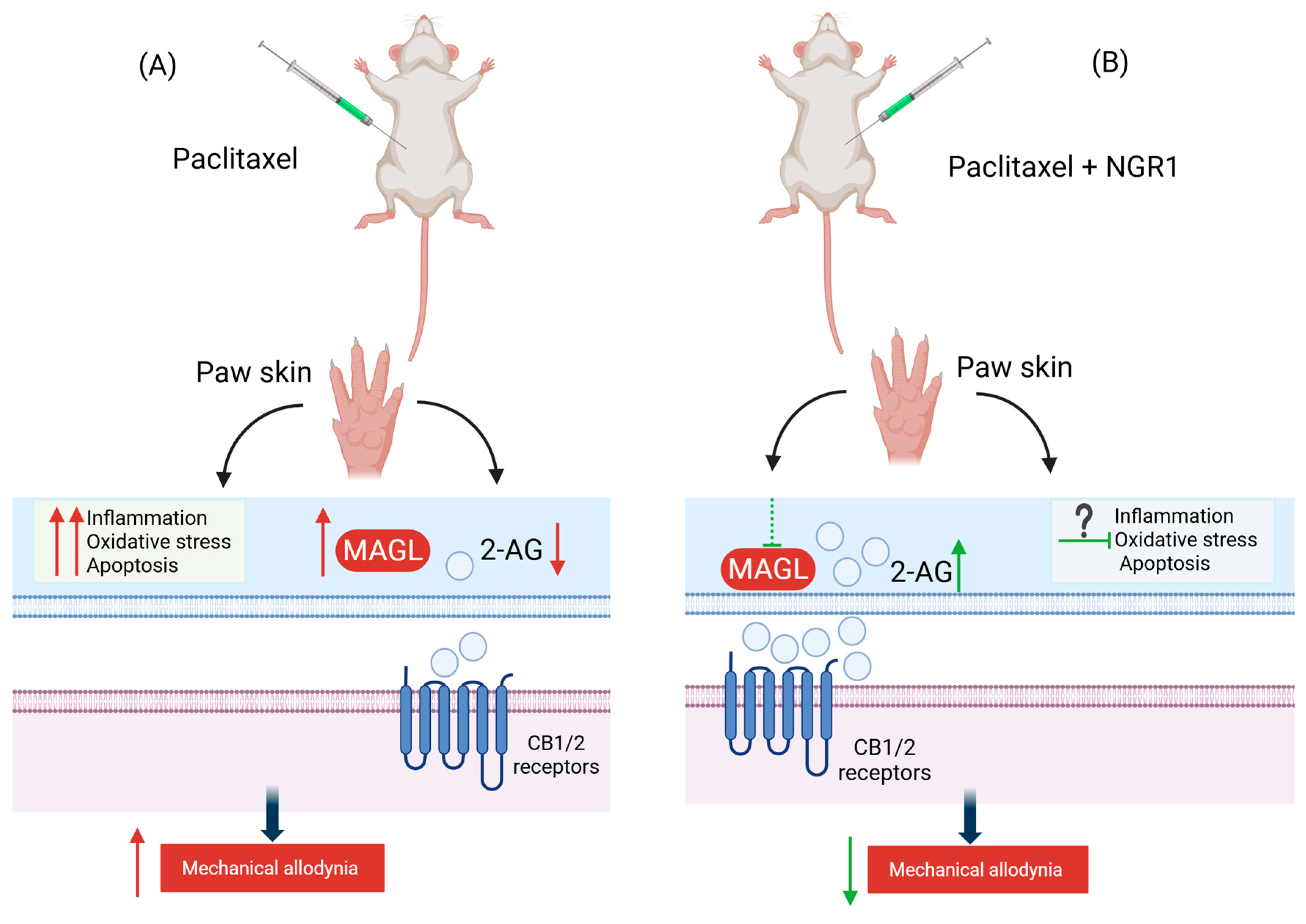 Molecules 30 03613 g008