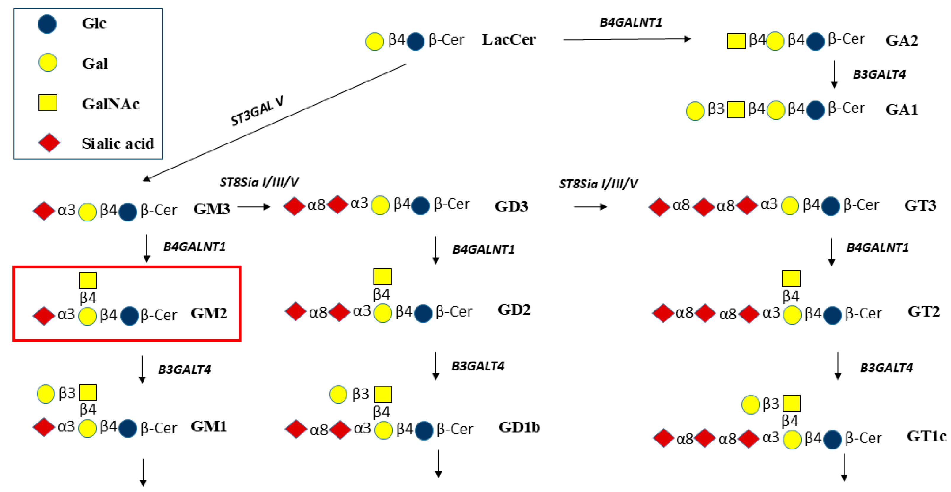 Molecules 30 03615 g001