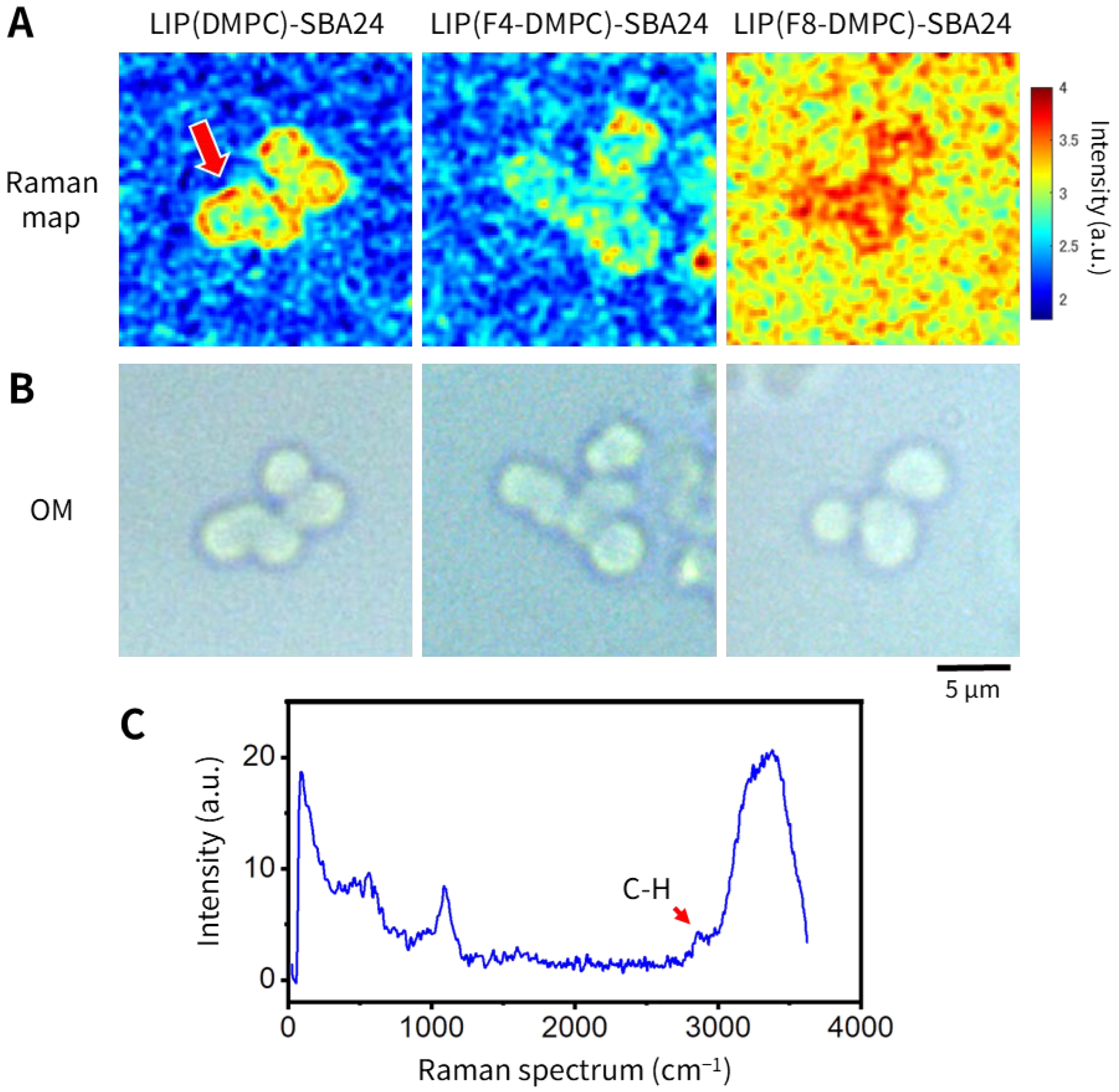 Molecules 30 03621 g008