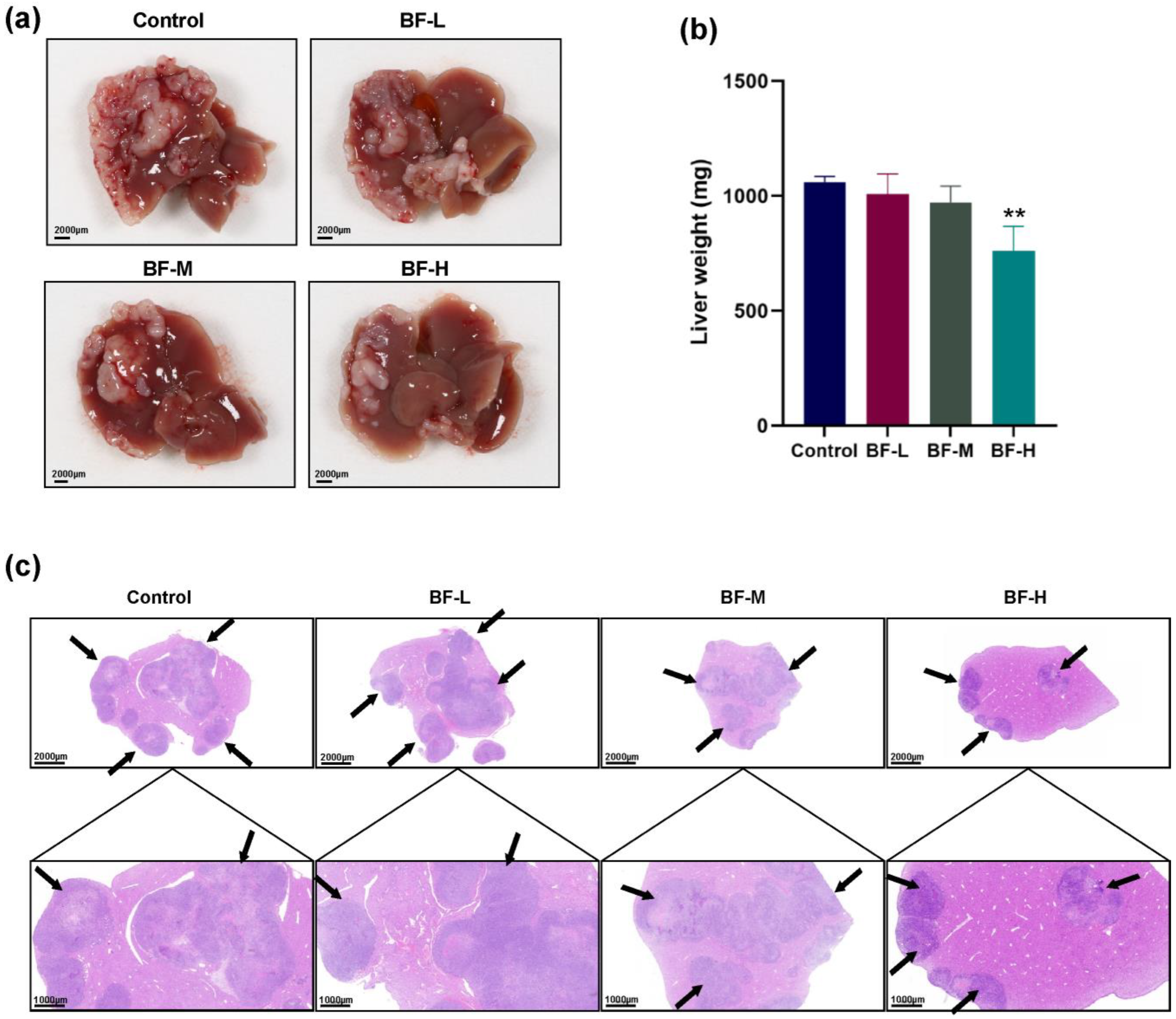 Molecules 30 03634 g006