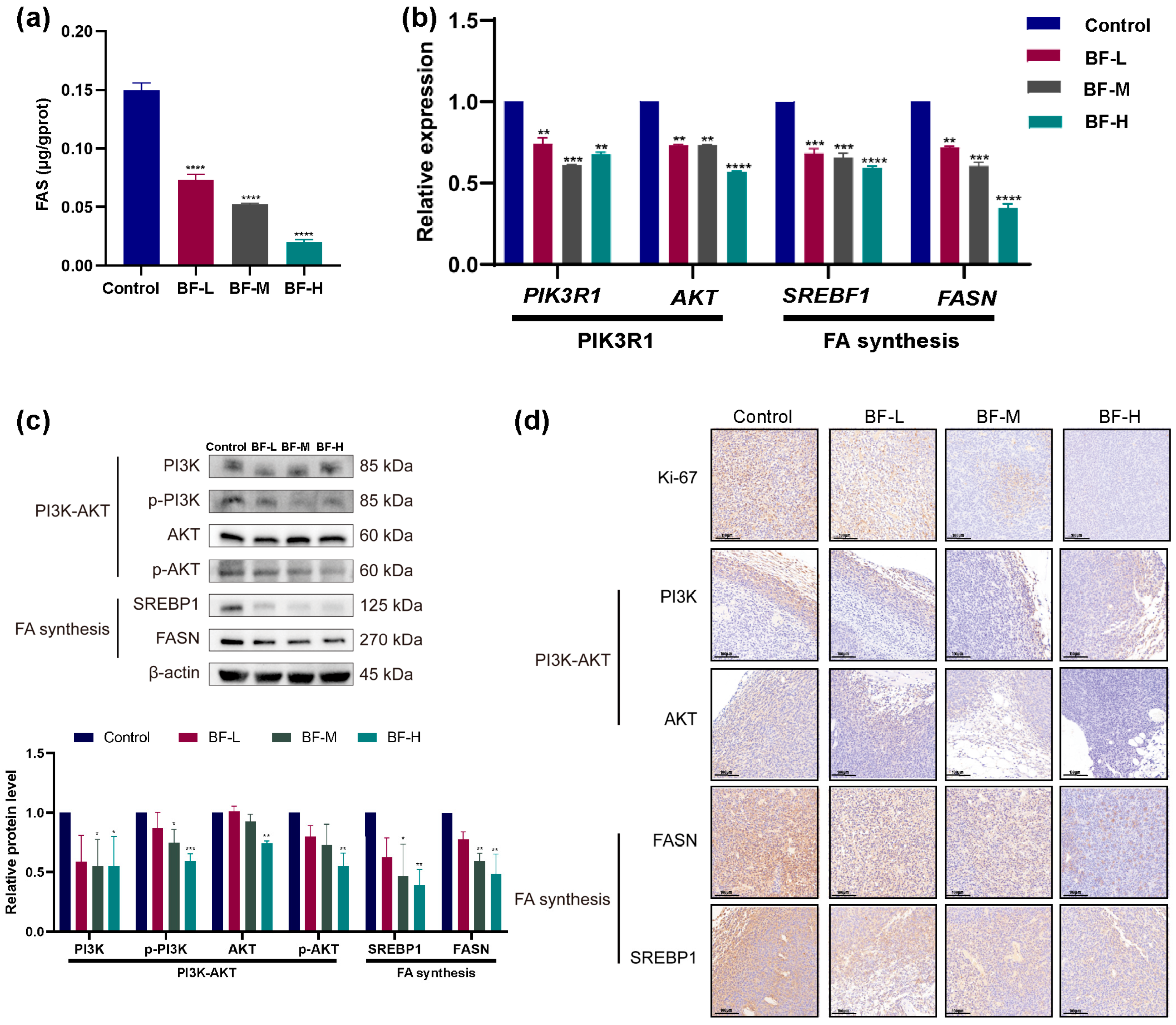 Molecules 30 03634 g007