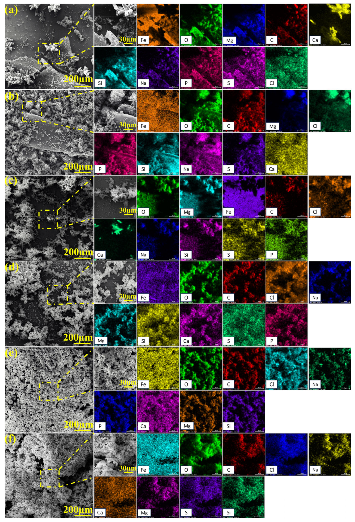 Molecules 30 03636 g012