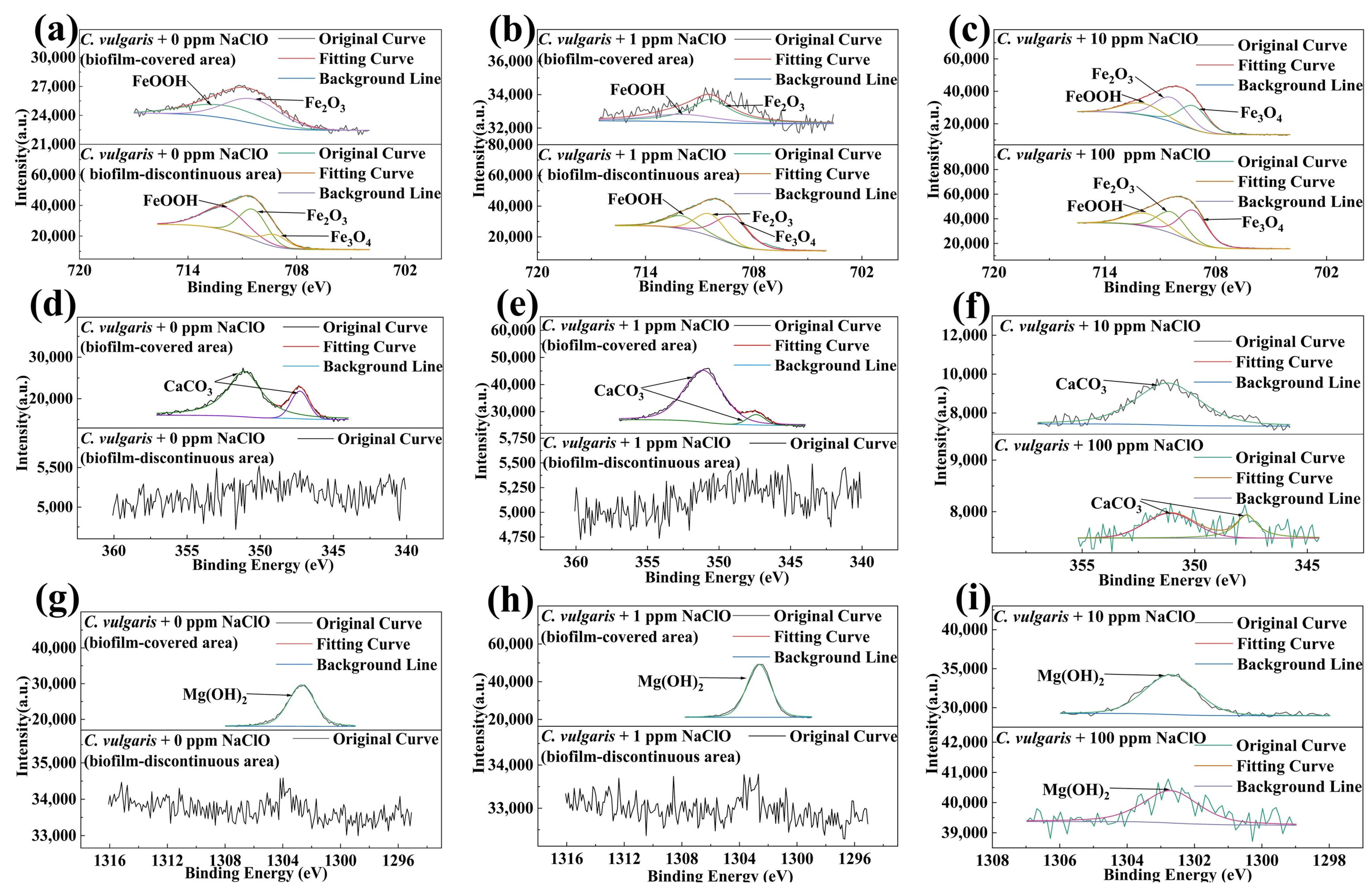 Molecules 30 03636 g015