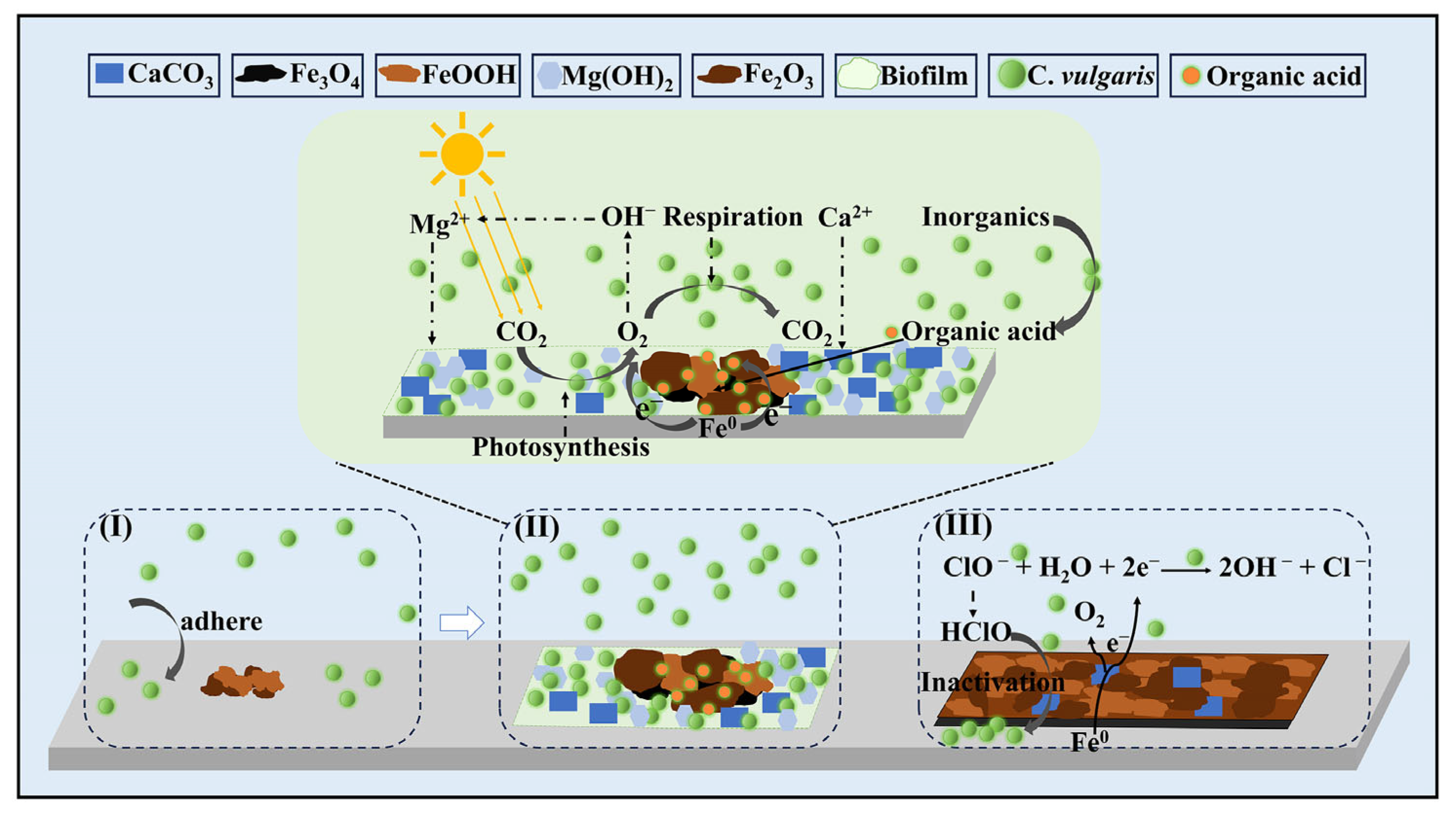 Molecules 30 03636 g017