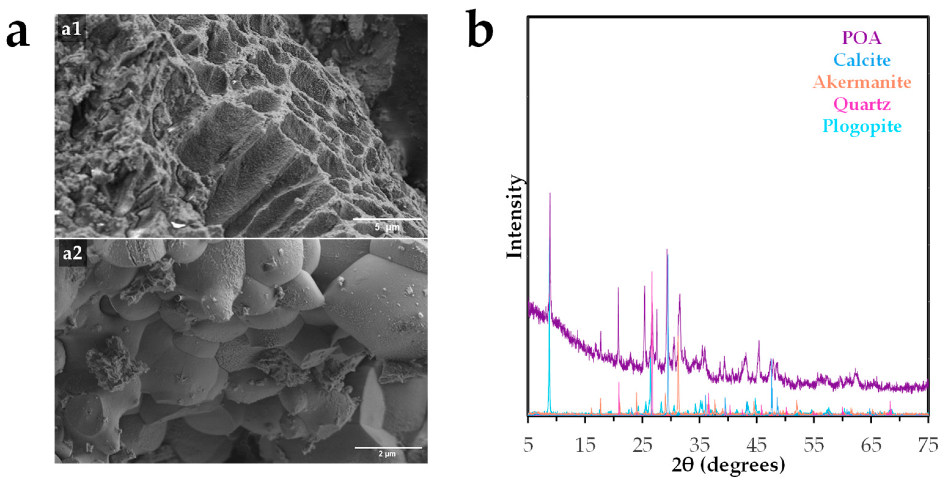 Molecules 30 03639 g001 Molecules 30 03639 g001