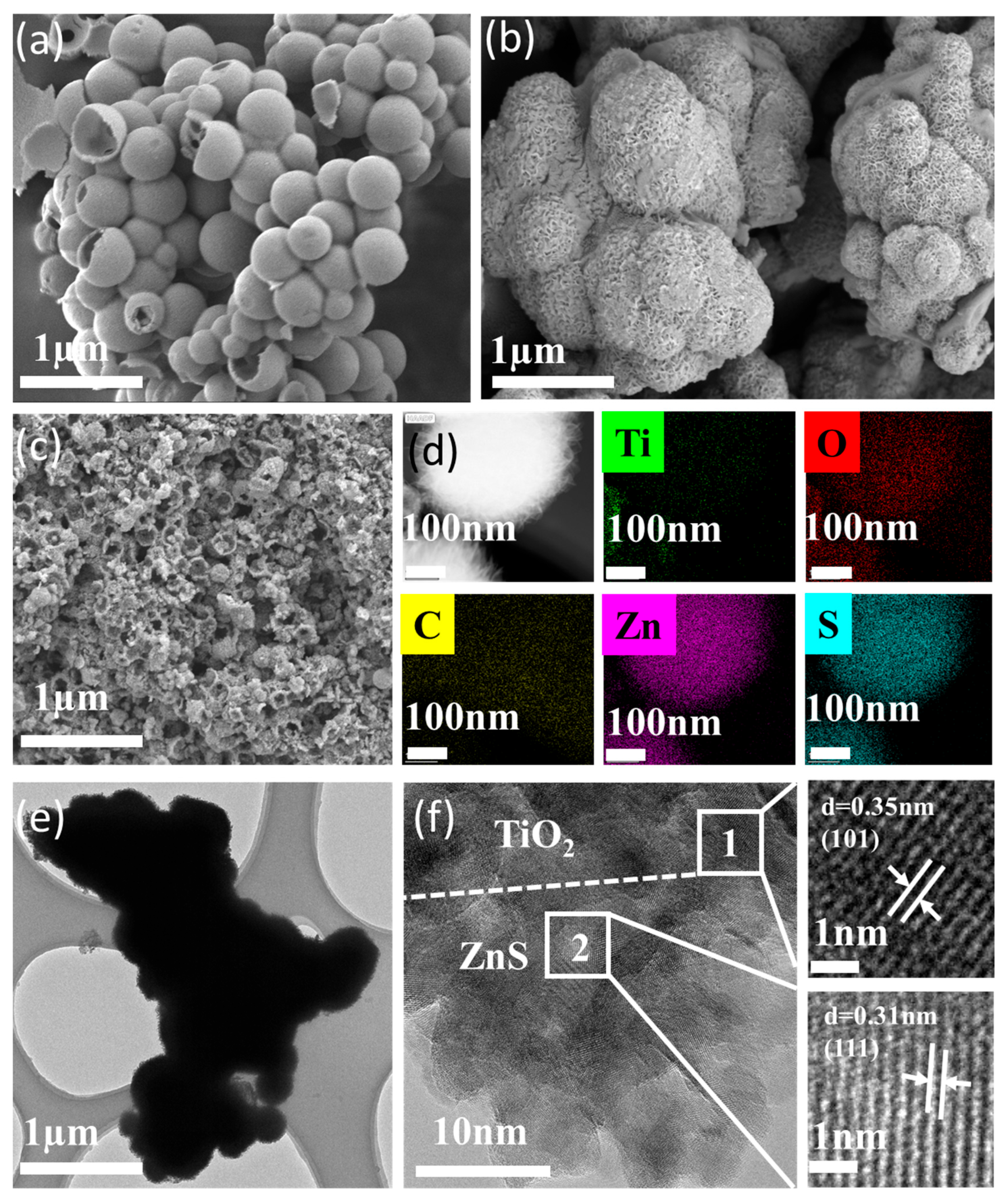 Molecules 30 03644 g002 Molecules 30 03644 g002