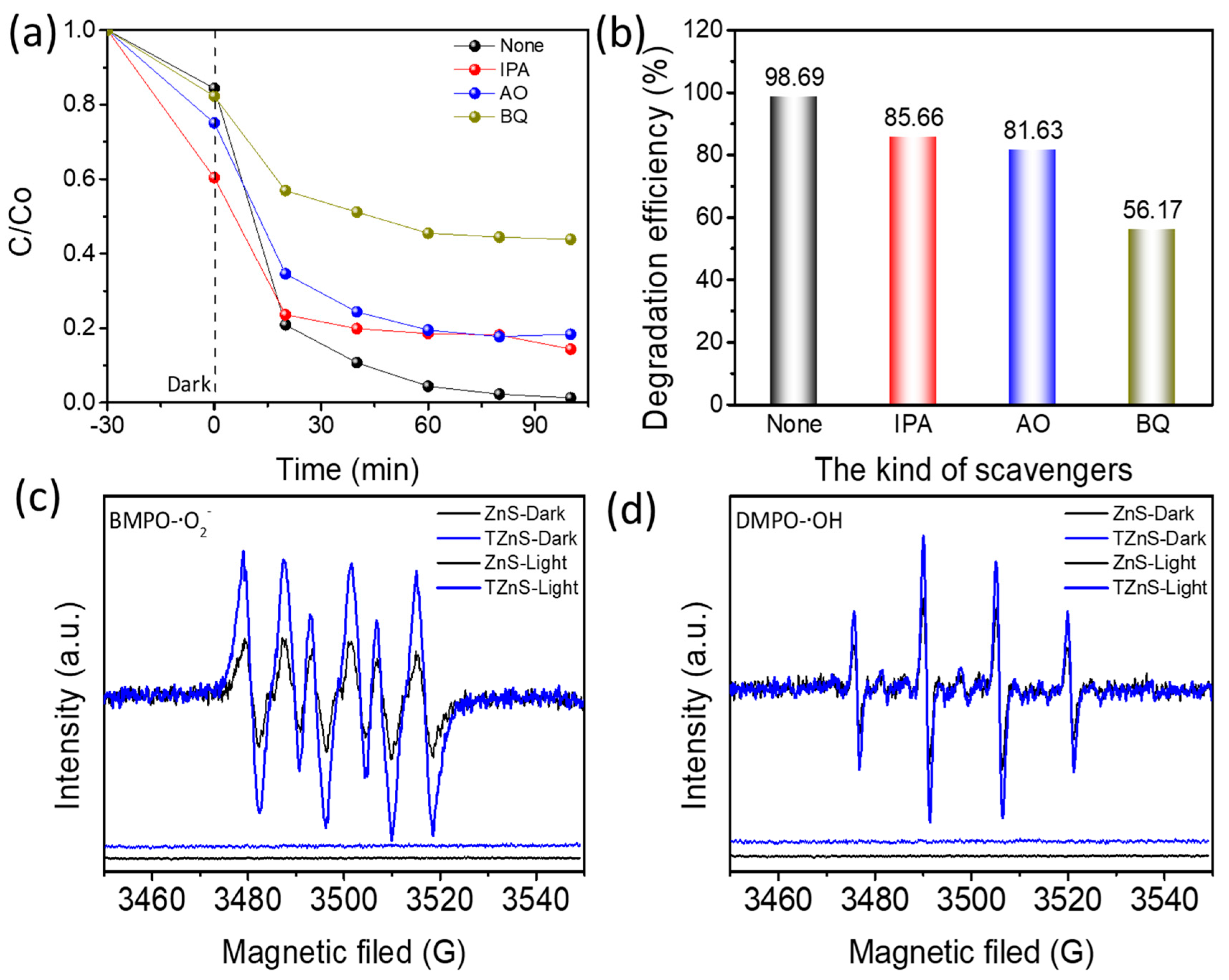 Molecules 30 03644 g007 Molecules 30 03644 g007