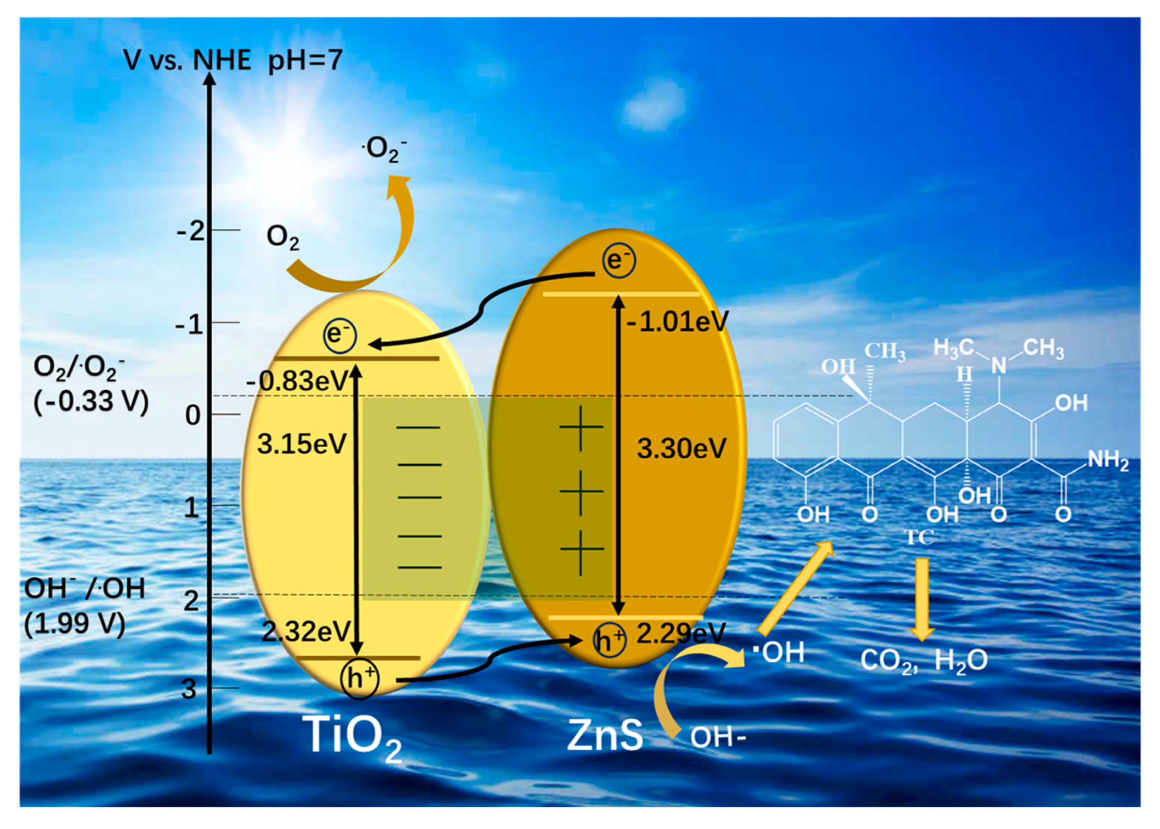 Molecules 30 03644 g009 Molecules 30 03644 g009