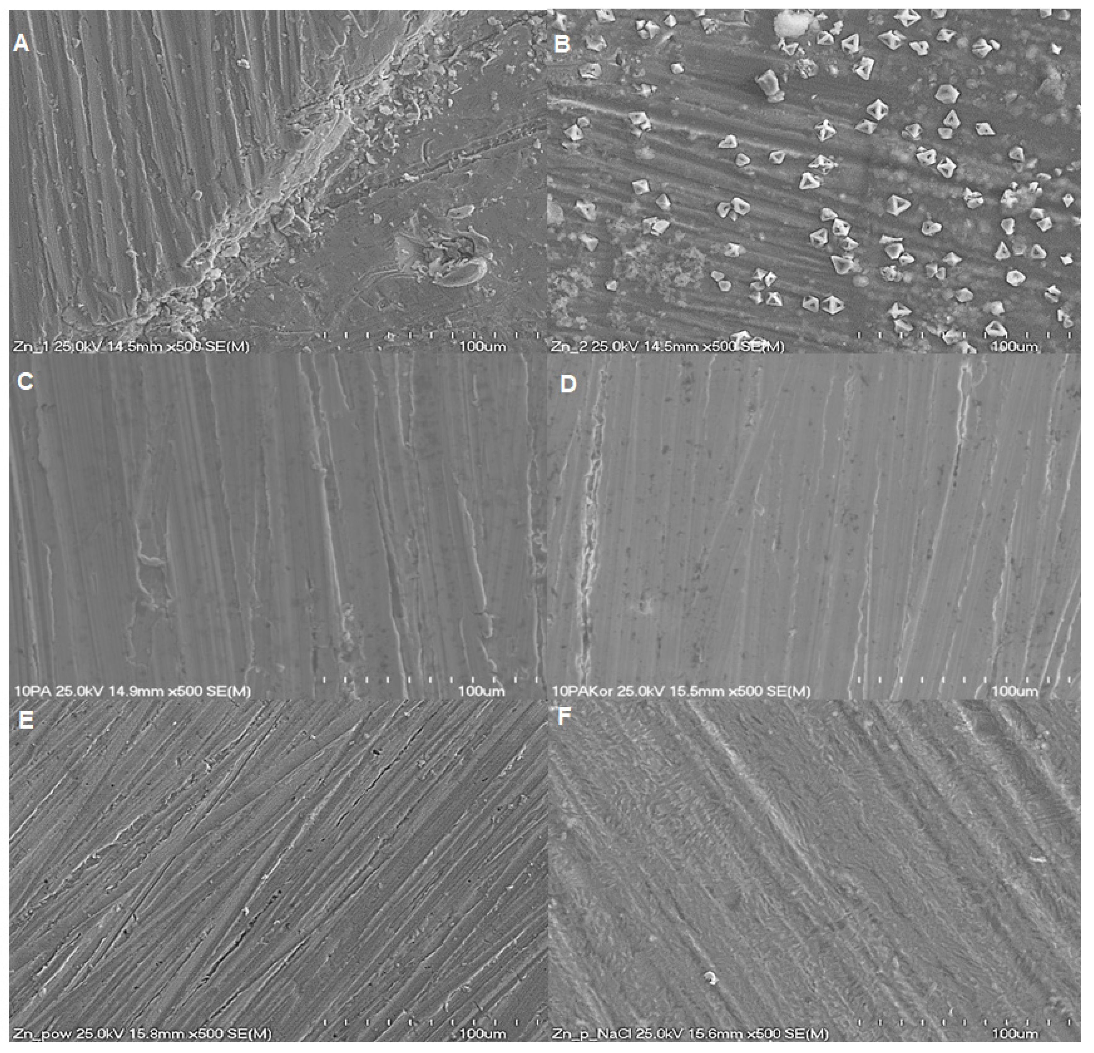 Molecules 30 03648 g010 Molecules 30 03648 g010