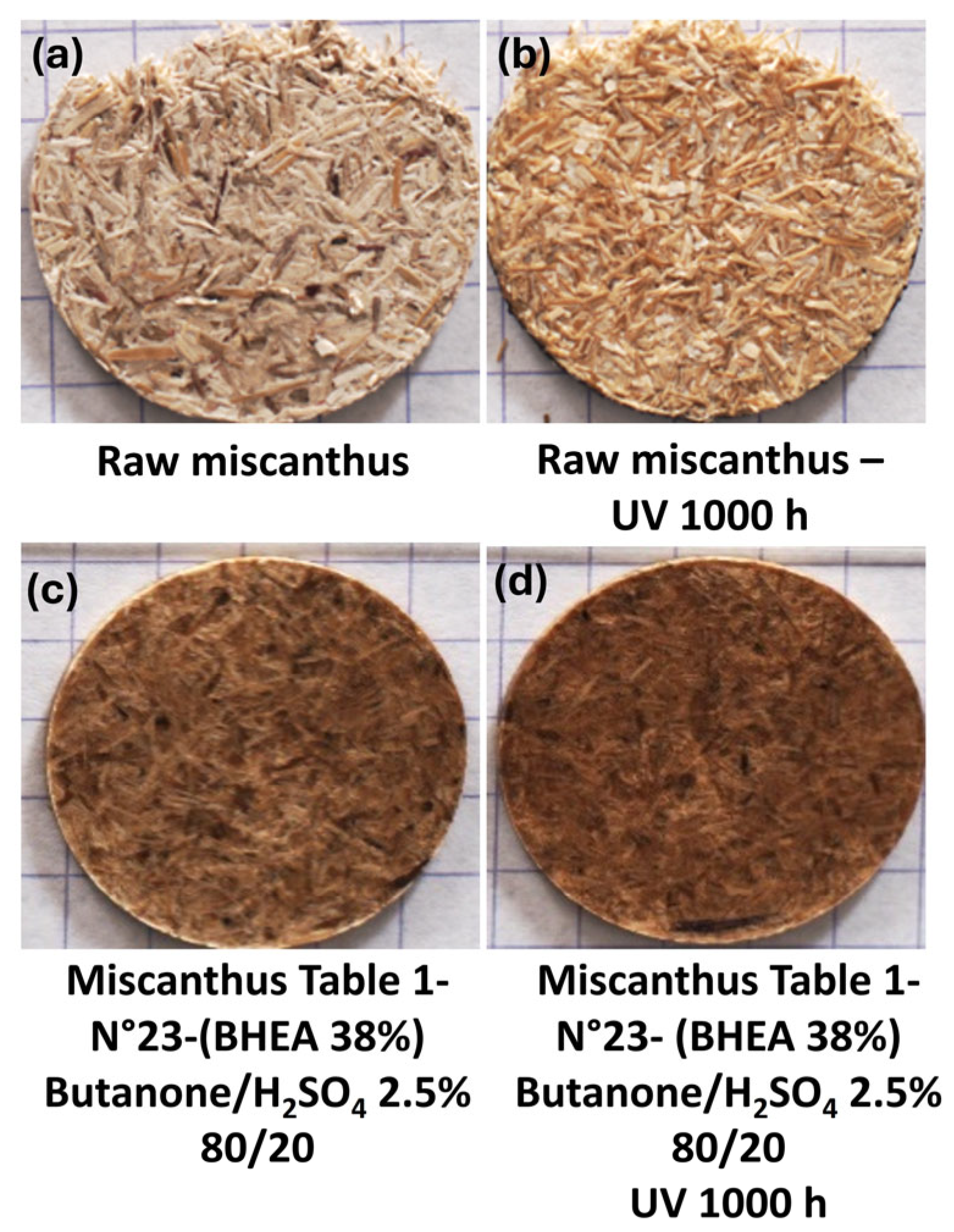 Molecules 30 03649 g010