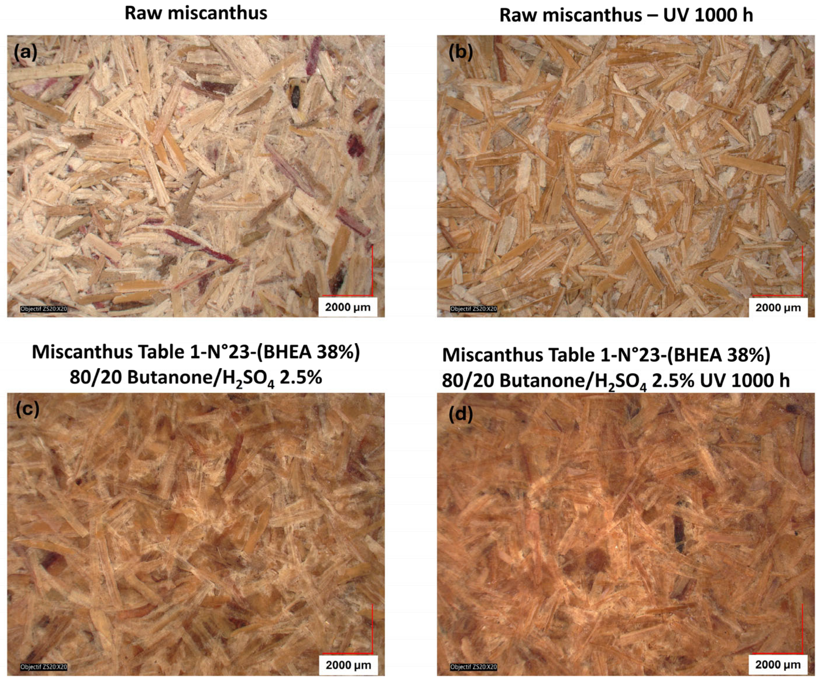 Molecules 30 03649 g012