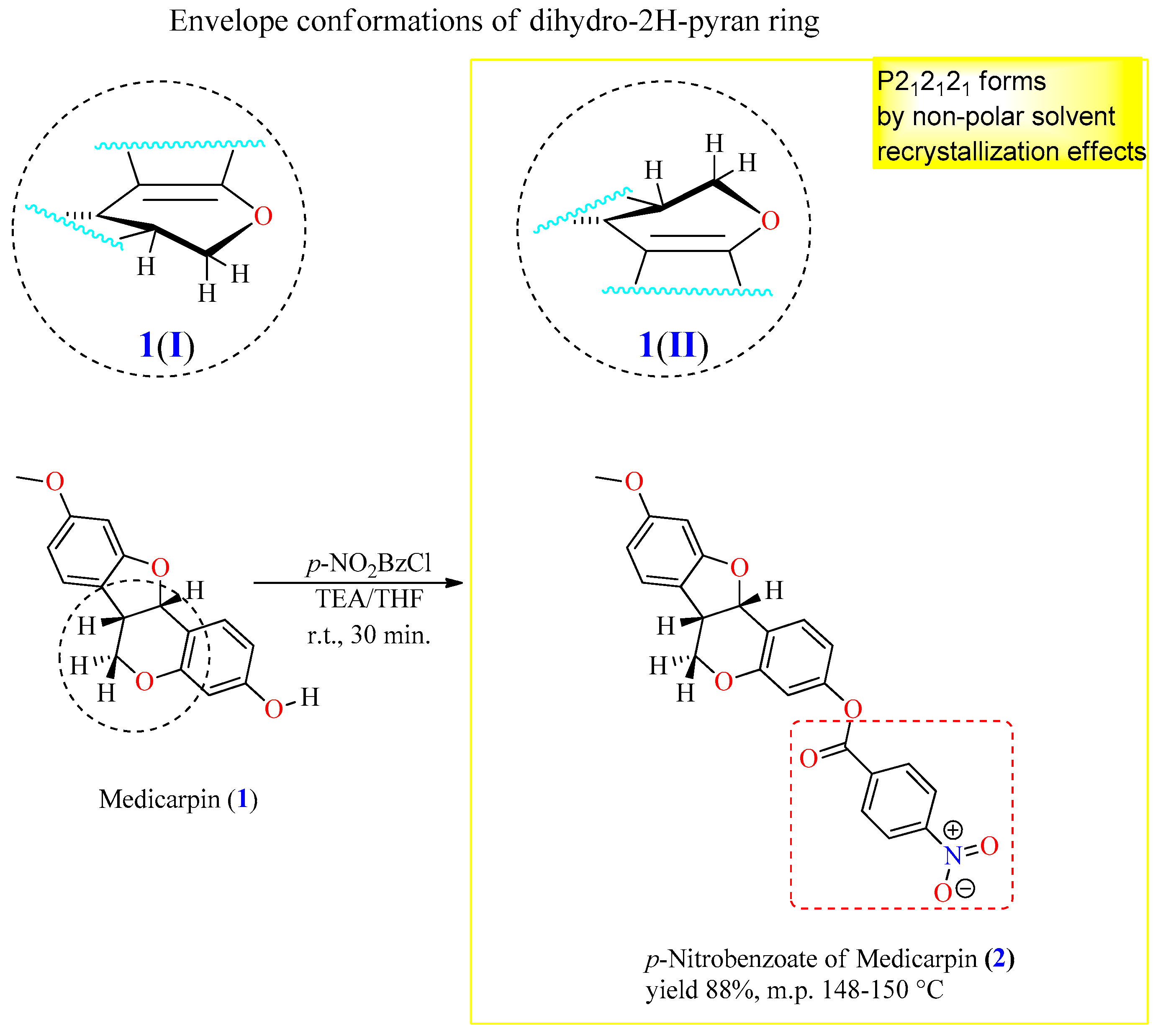 Molecules 30 03652 sch001