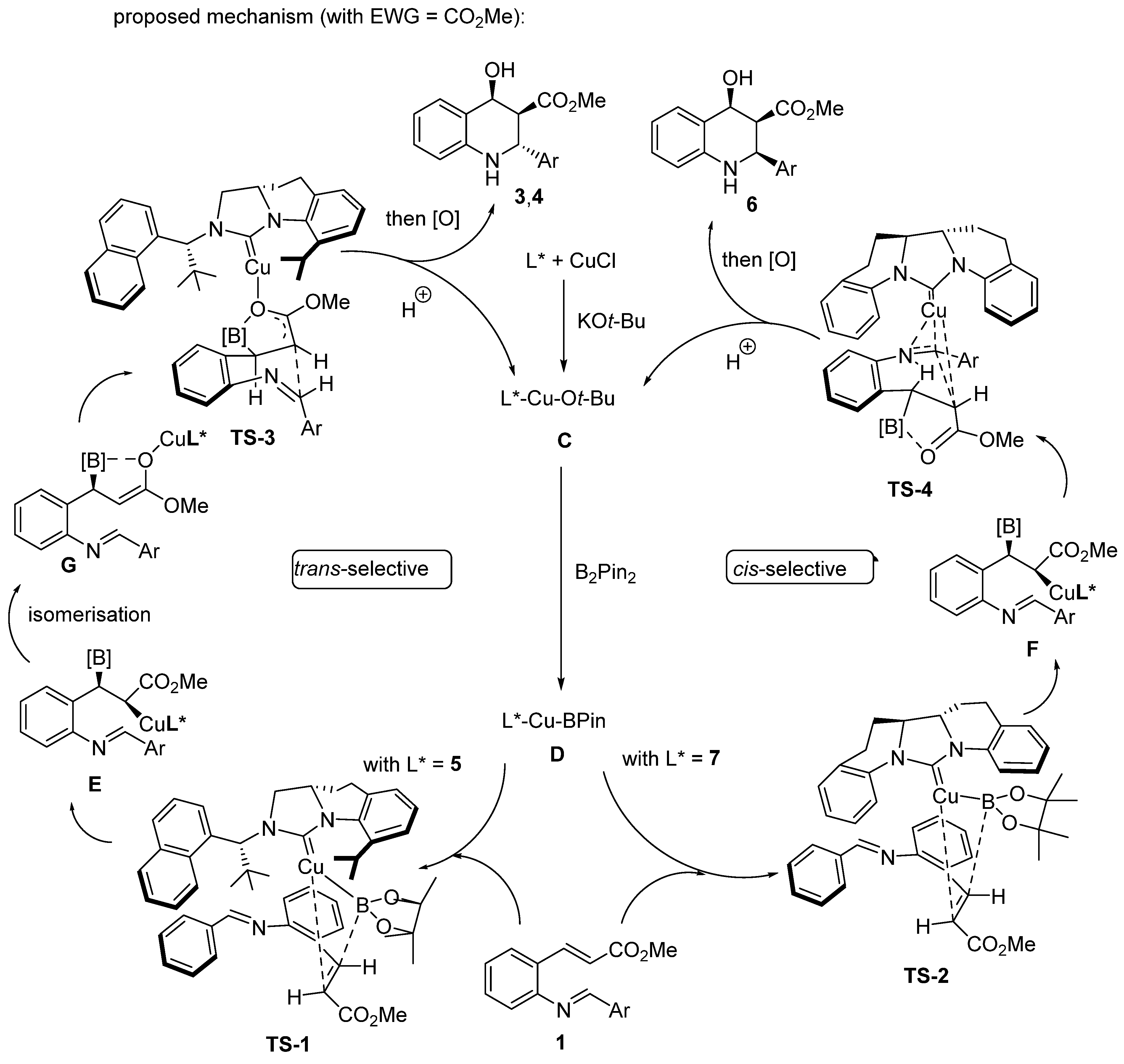 Molecules 30 03654 sch004 Molecules 30 03654 sch004