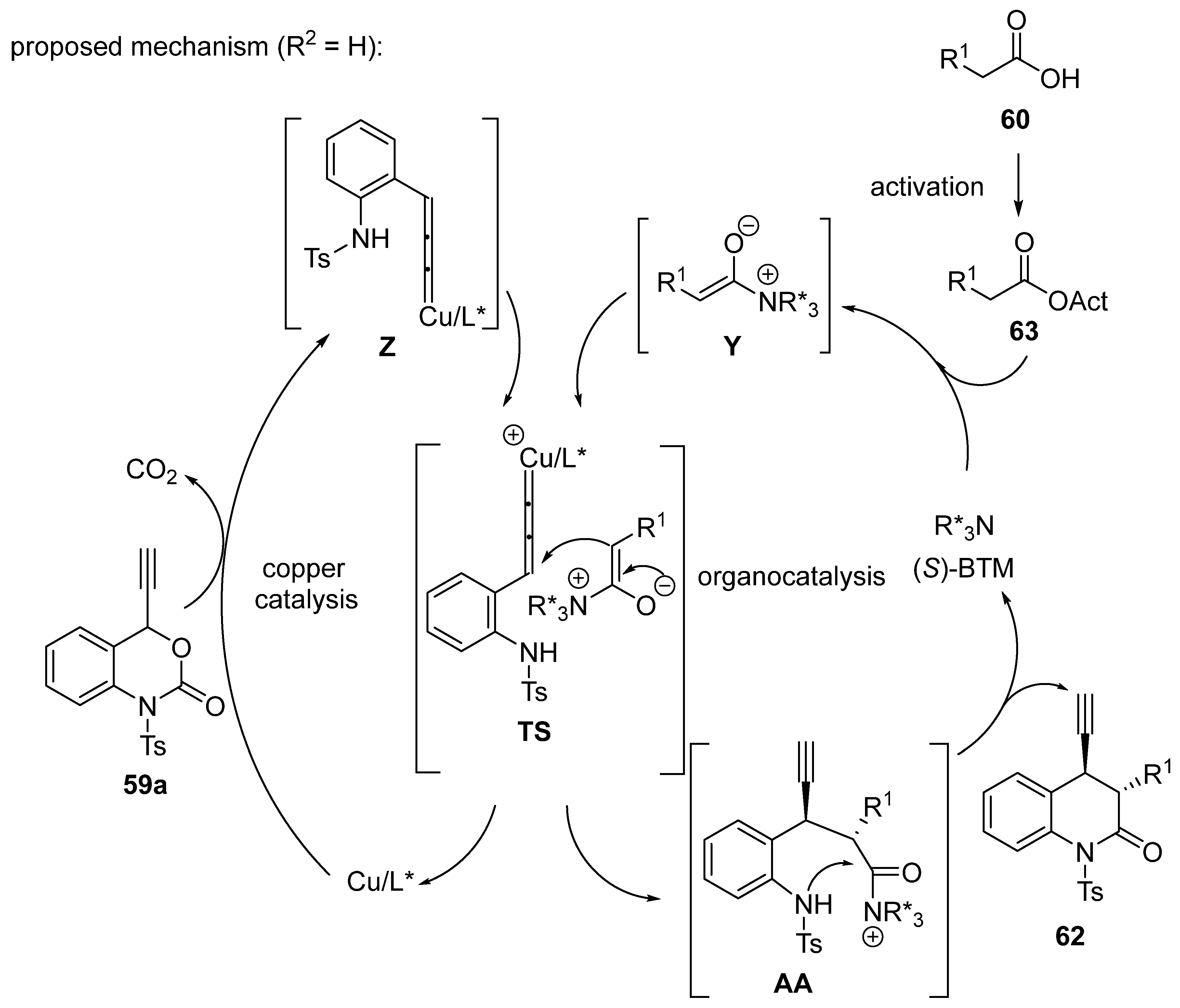 Molecules 30 03654 sch024 Molecules 30 03654 sch024