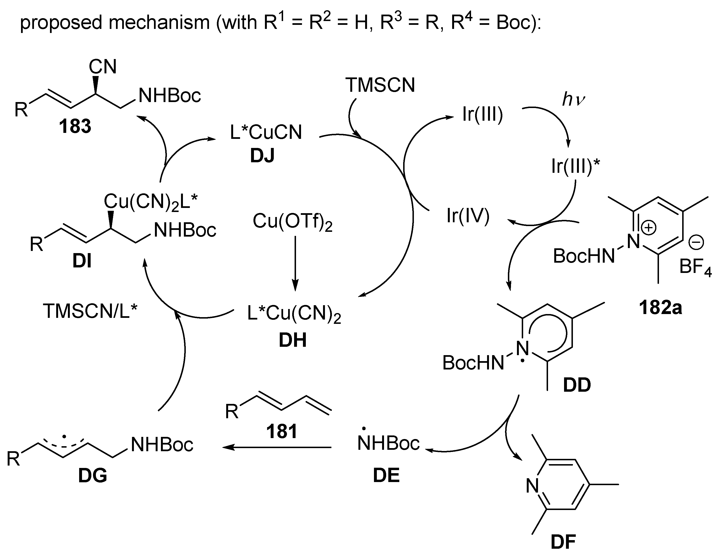 Molecules 30 03654 sch072 Molecules 30 03654 sch072