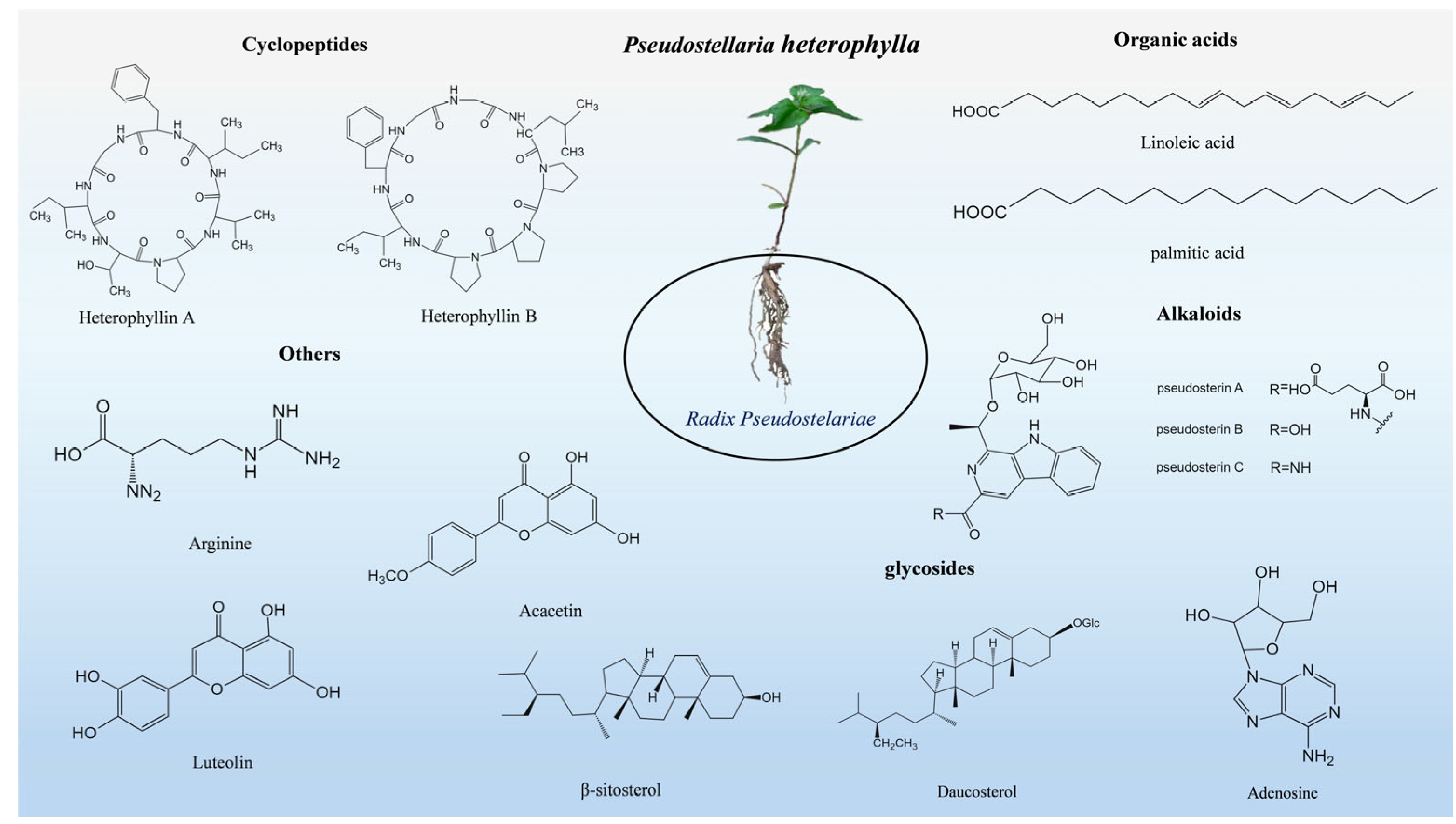 Molecules 30 03656 g001