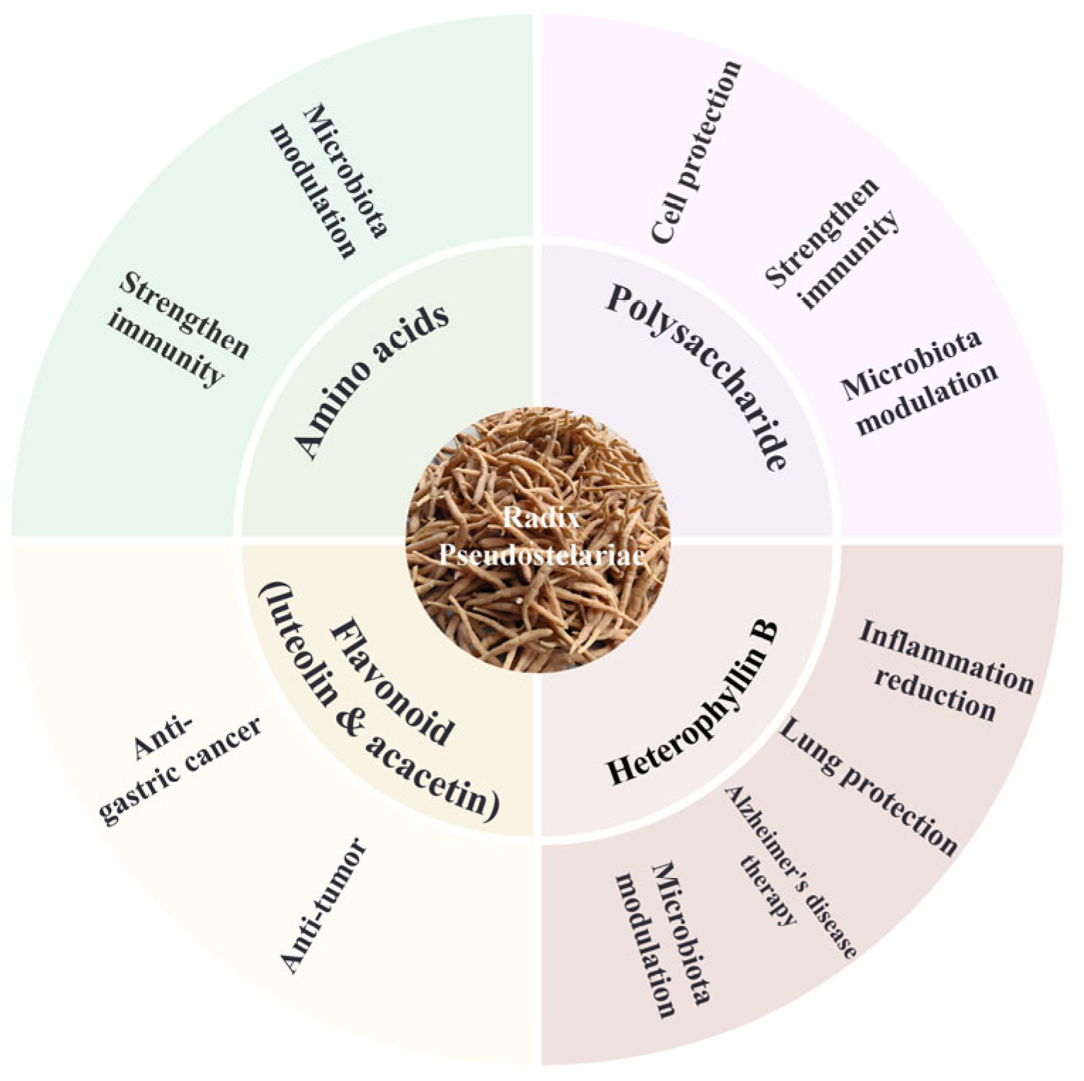 Molecules 30 03656 g002