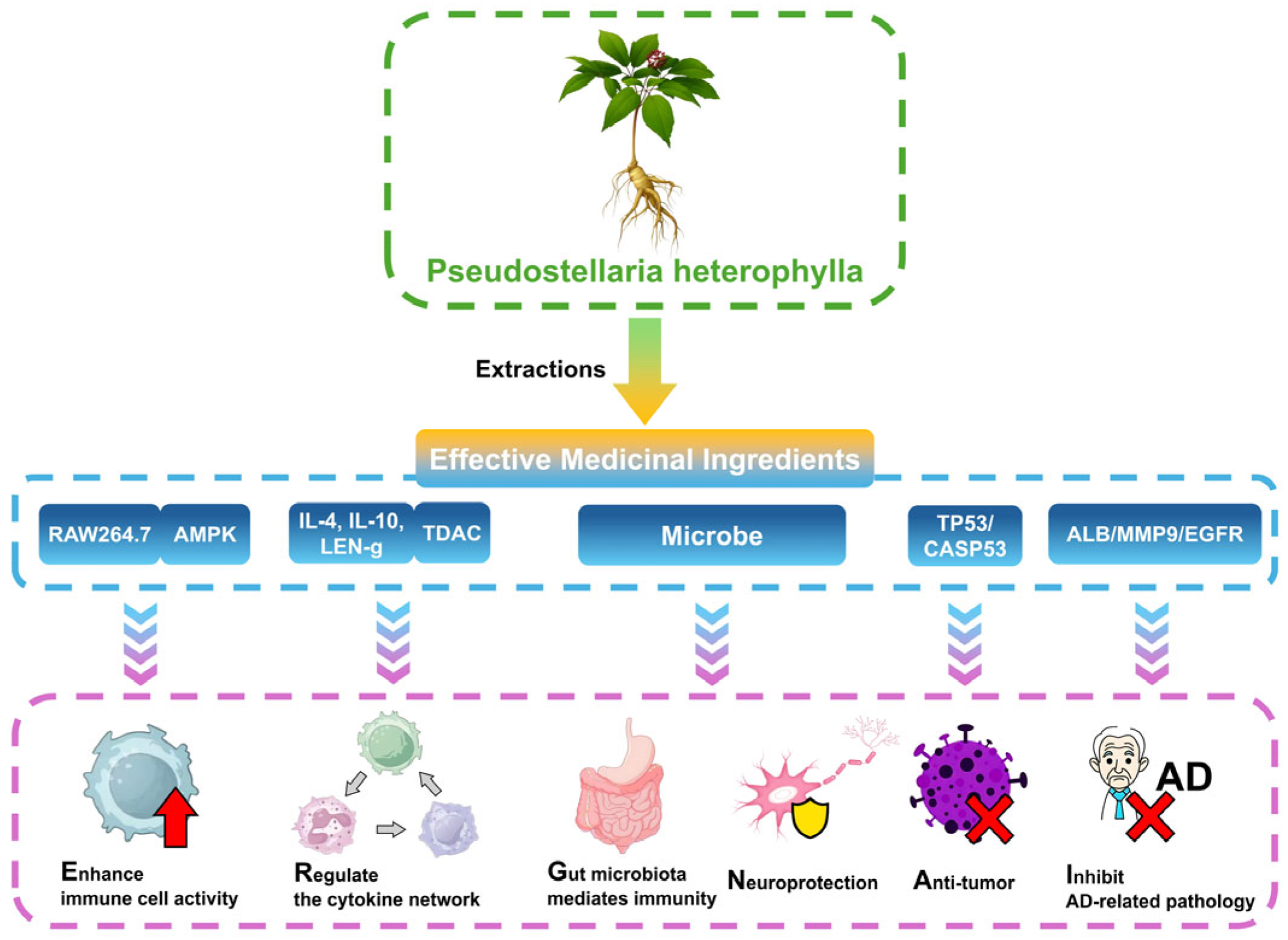 Molecules 30 03656 g003