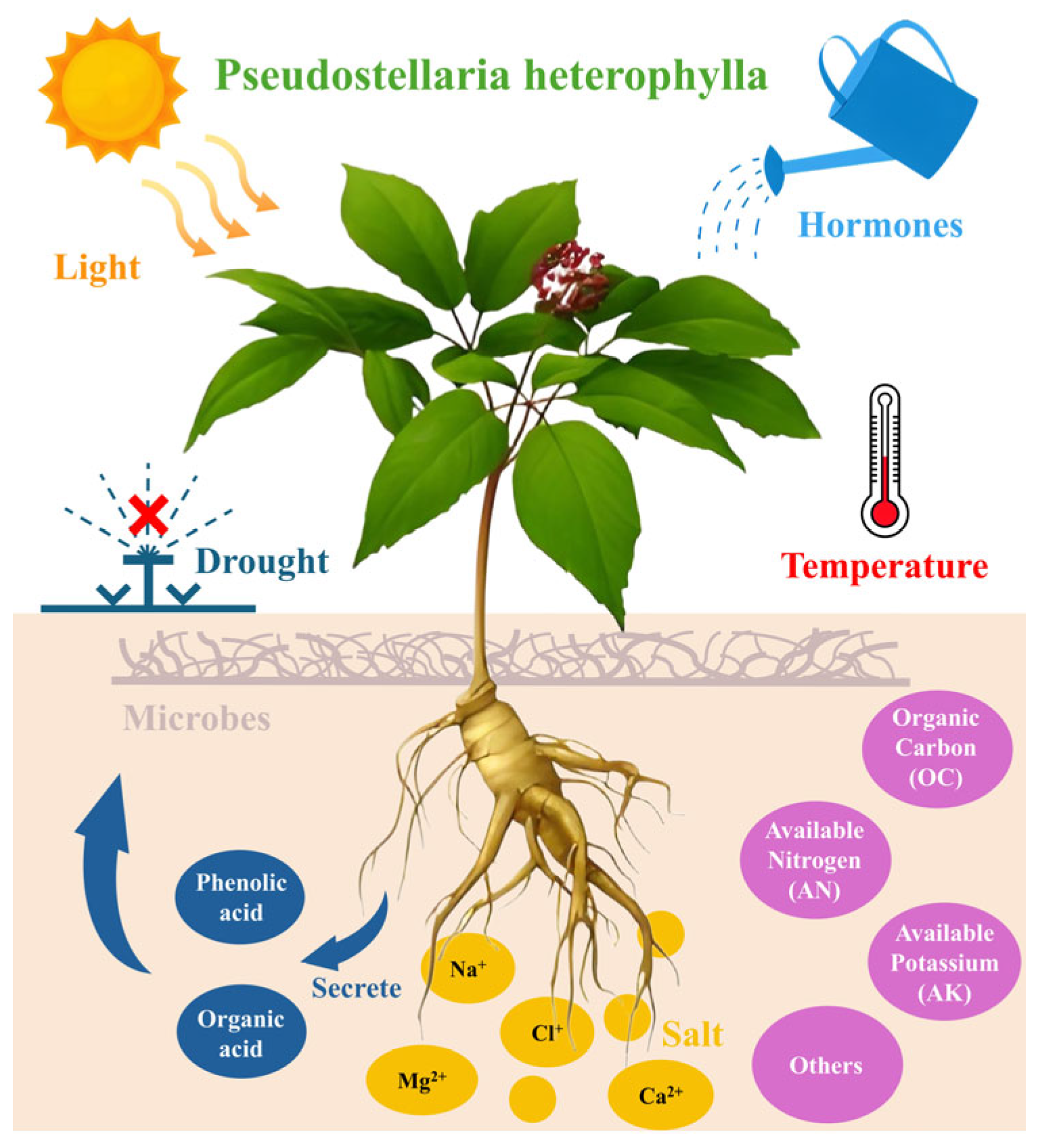 Molecules 30 03656 g004