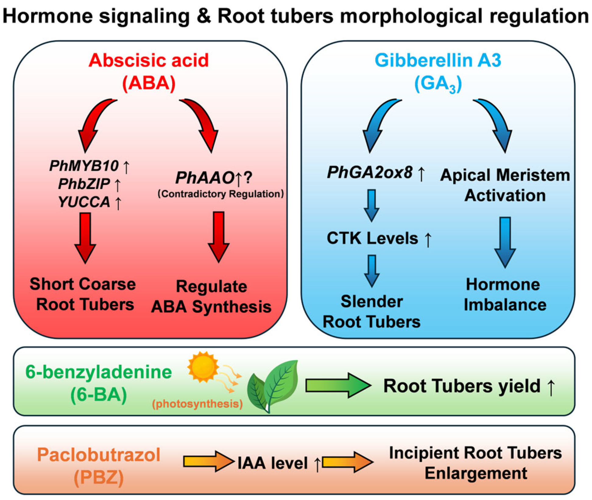 Molecules 30 03656 g005