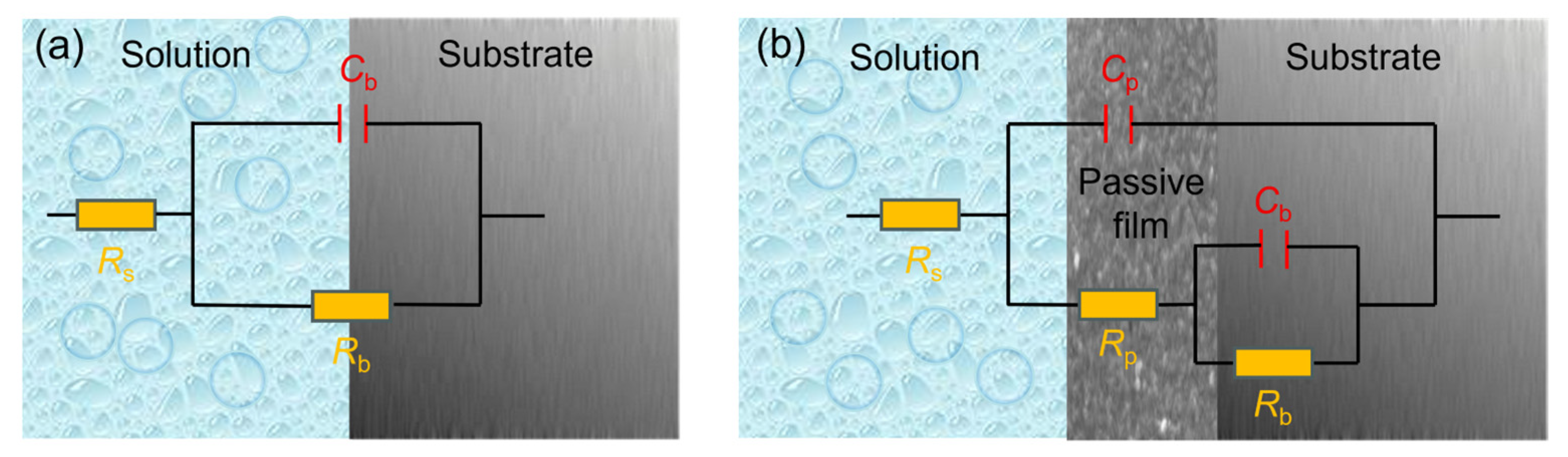 Molecules 30 03658 g005 Molecules 30 03658 g005