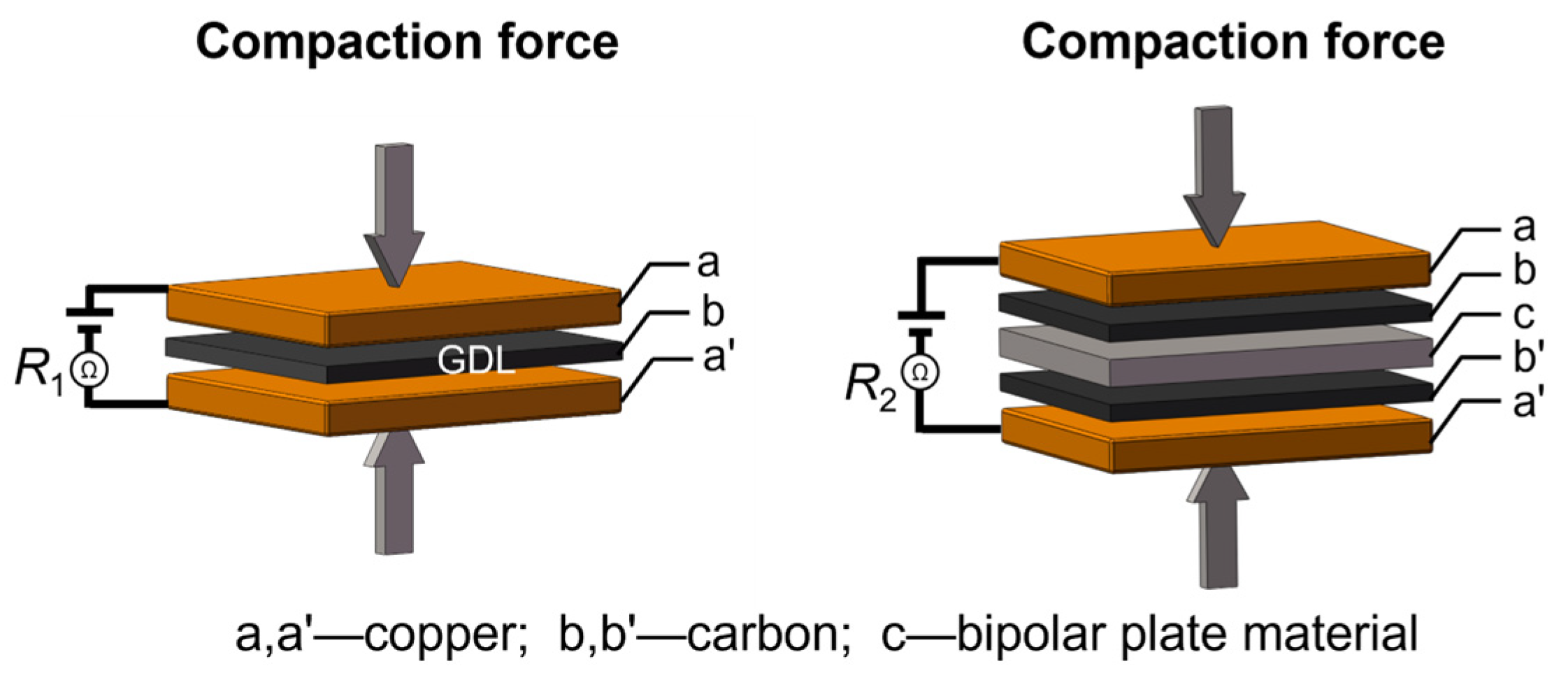 Molecules 30 03658 g008 Molecules 30 03658 g008