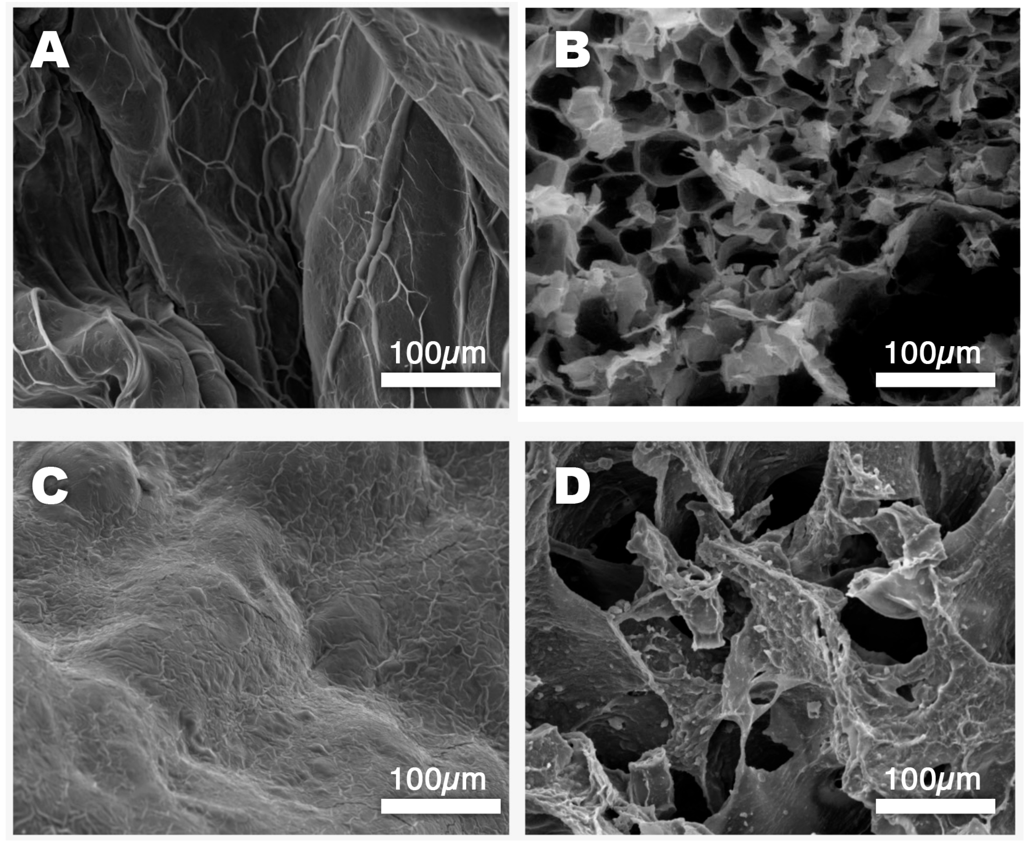 Molecules 30 03660 g003