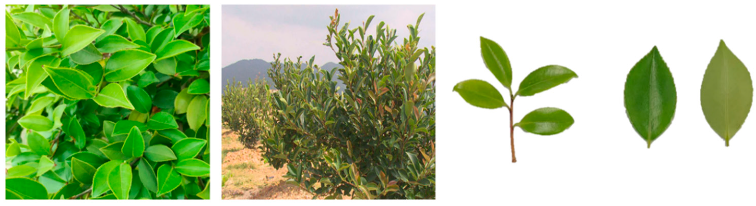 Molecules 30 03661 g001