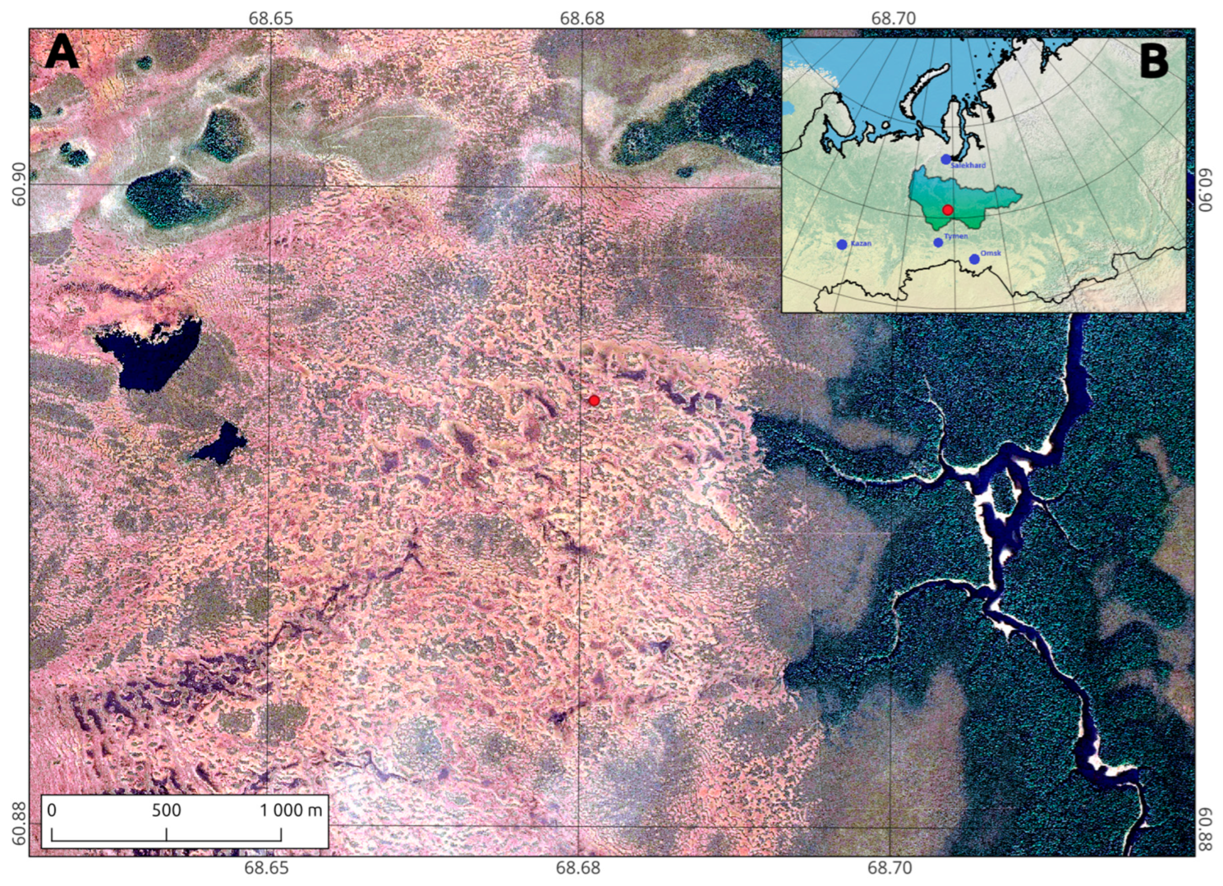 Molecules 30 03663 g006