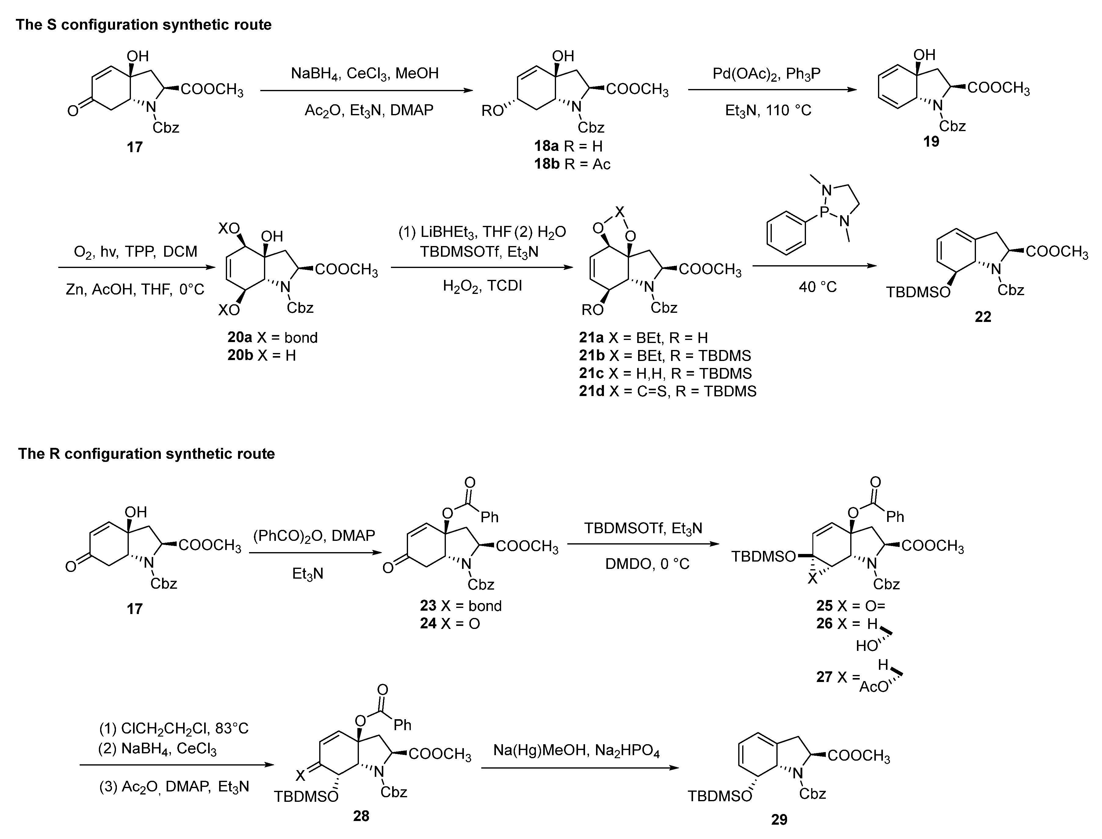 Molecules 30 03665 g007