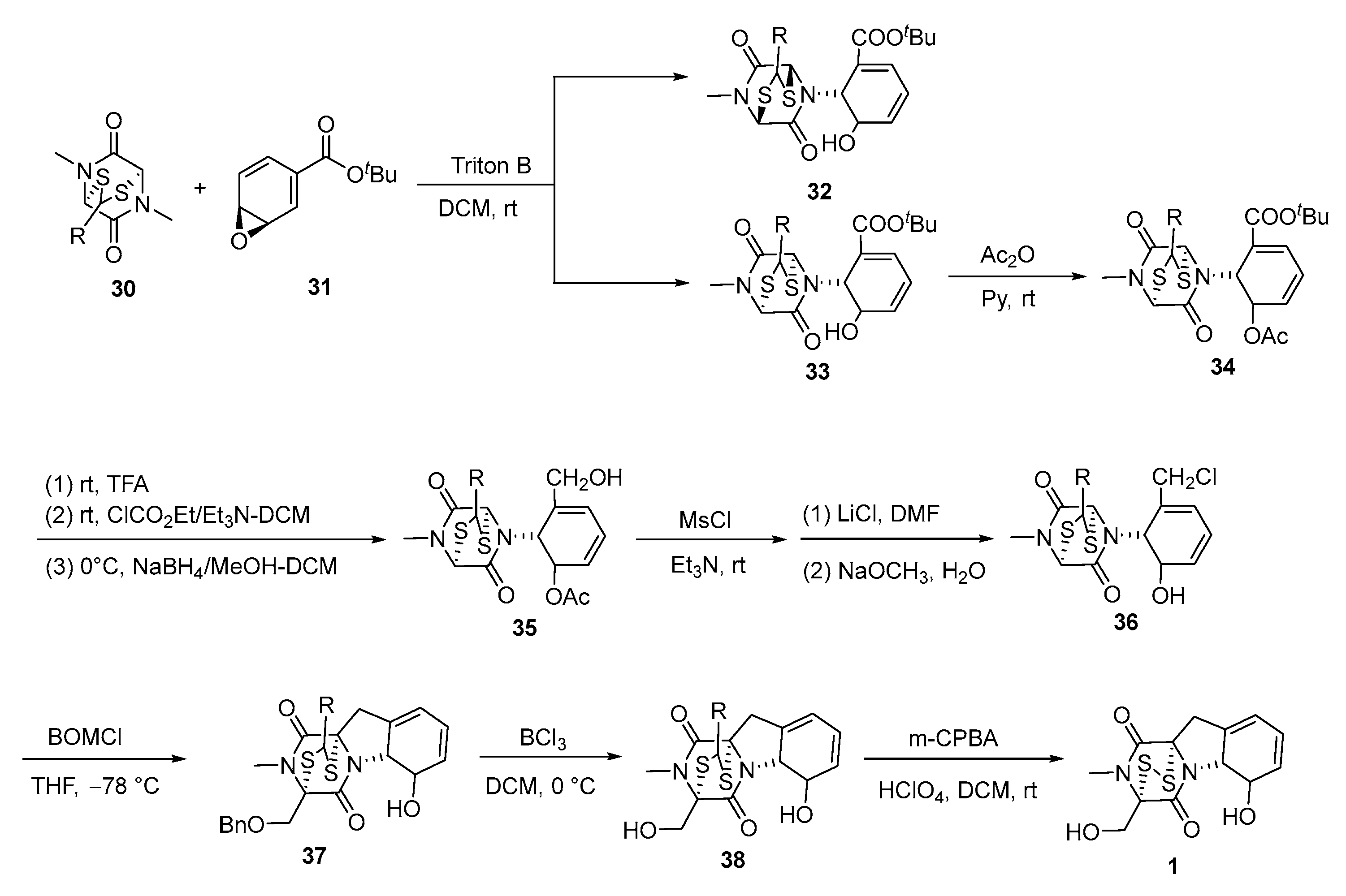 Molecules 30 03665 g008