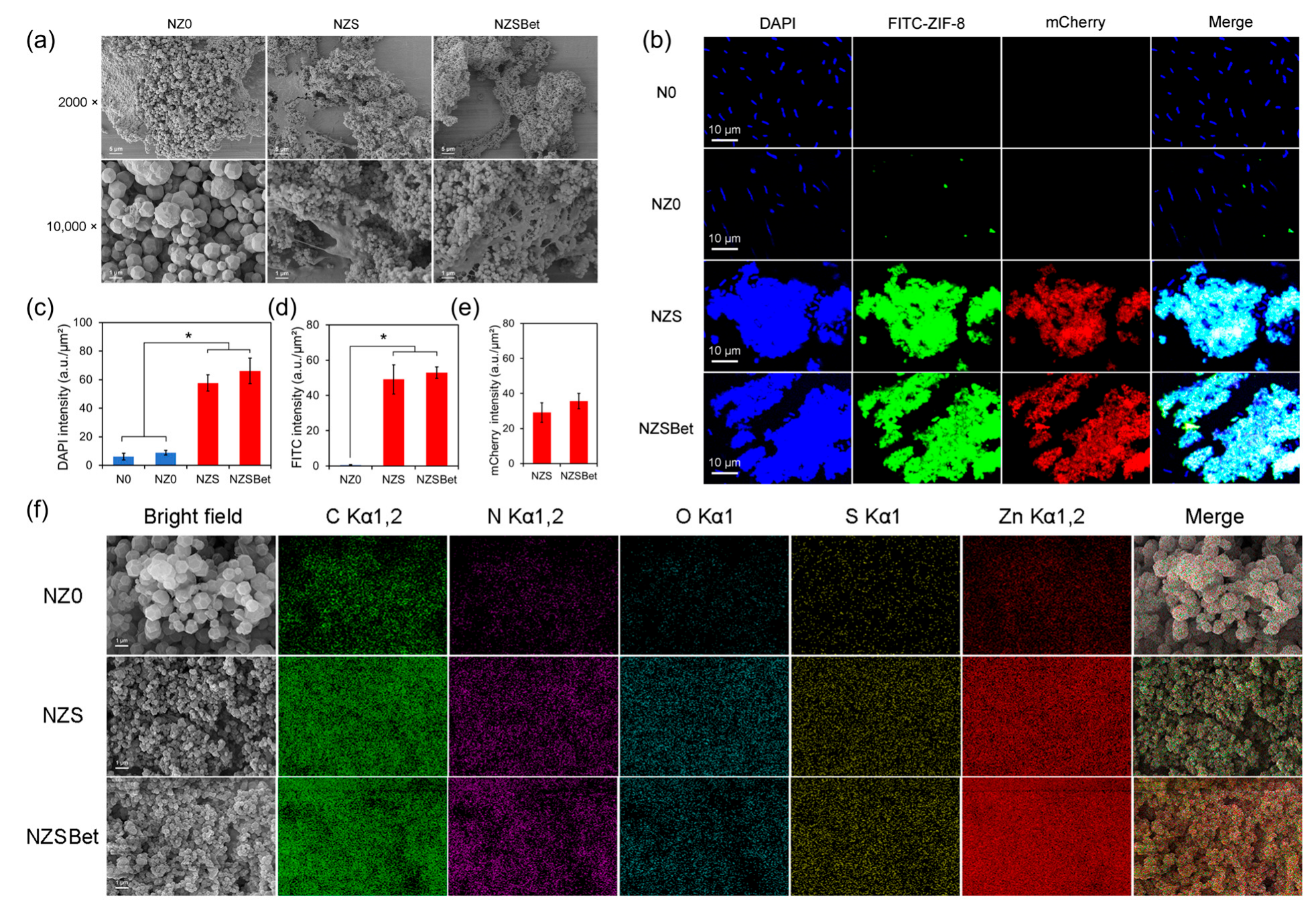 Molecules 30 03669 g002