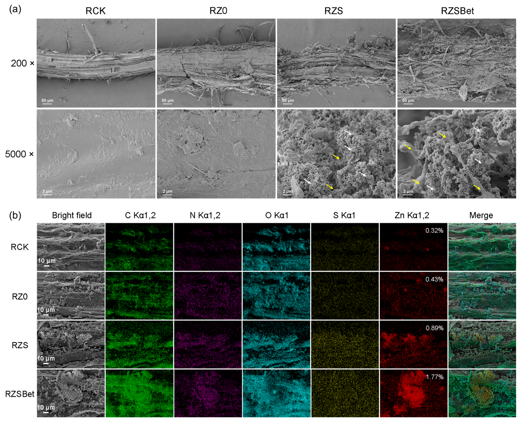 Molecules 30 03669 g003