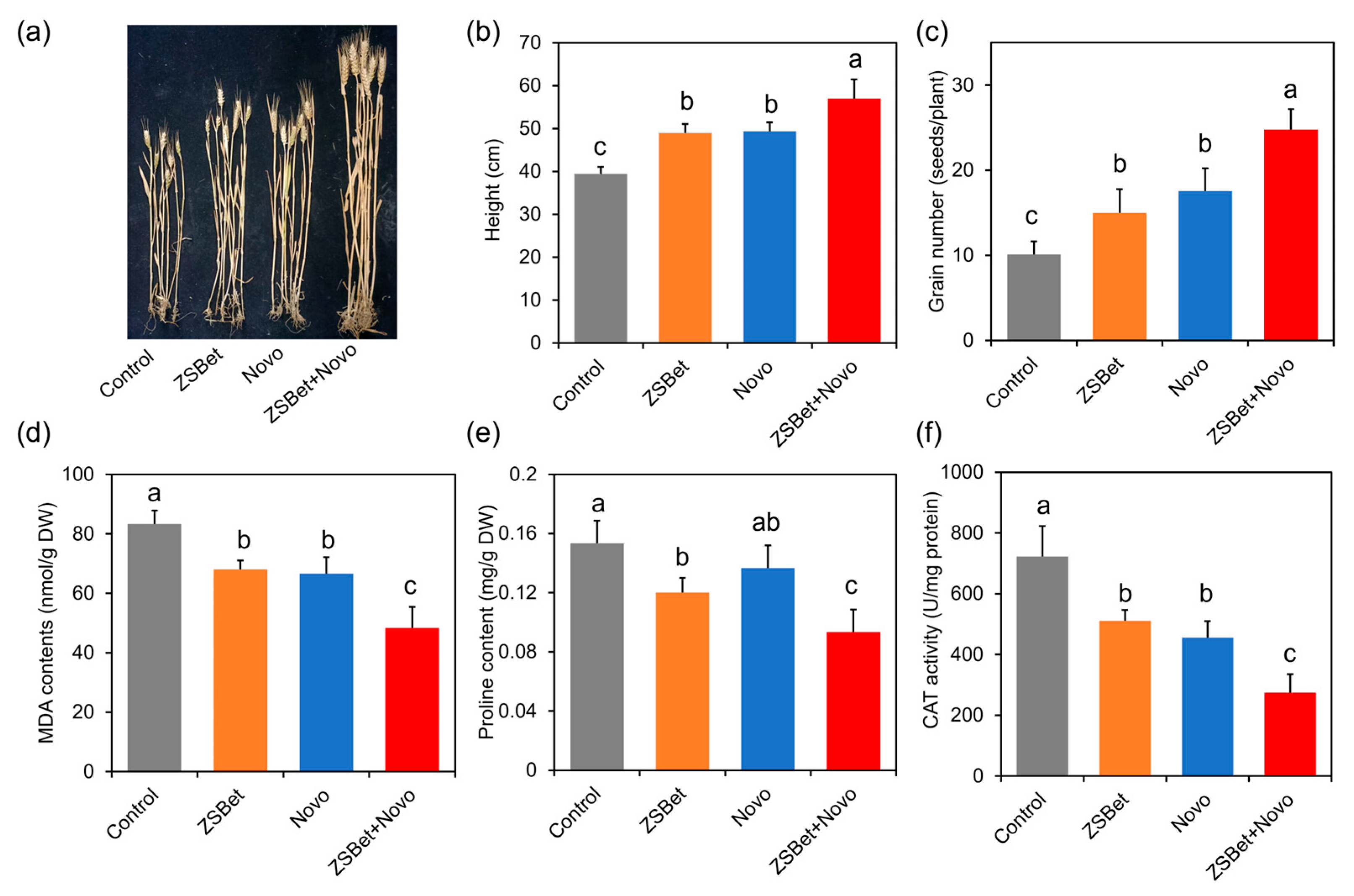 Molecules 30 03669 g005